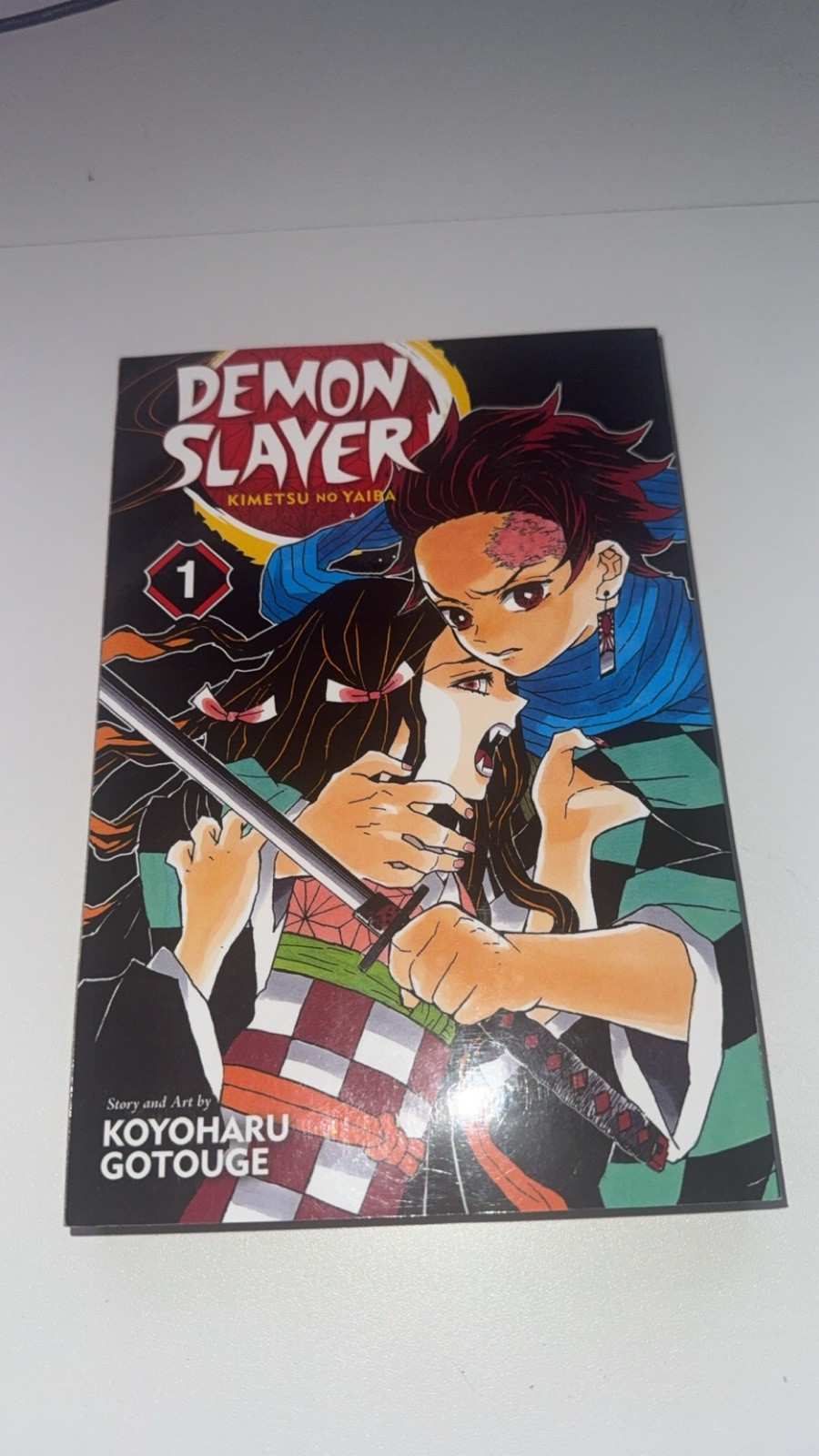 Demon Slayer: Kimetsu no Yaiba Vol. 1 Koyoharu Gotouge Softcover VIZ Media