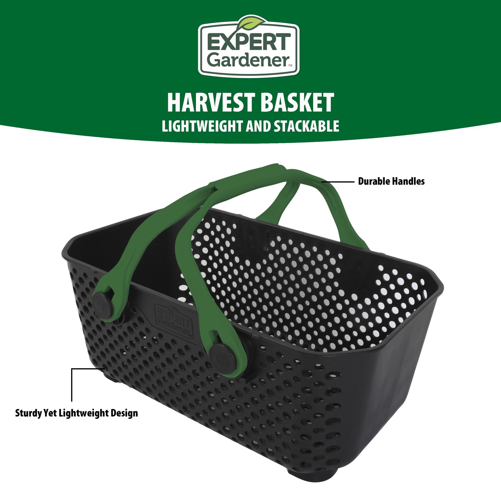 Harvest Basket