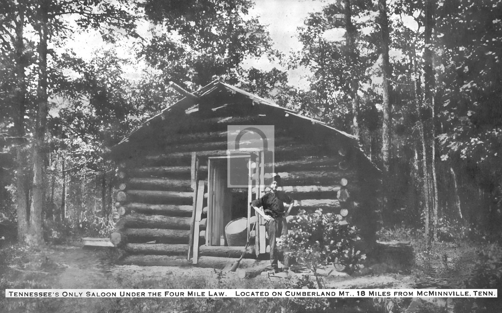 Log Cabin Saloon McMinnville Cumberland Mt Tennessee TN – Reprint