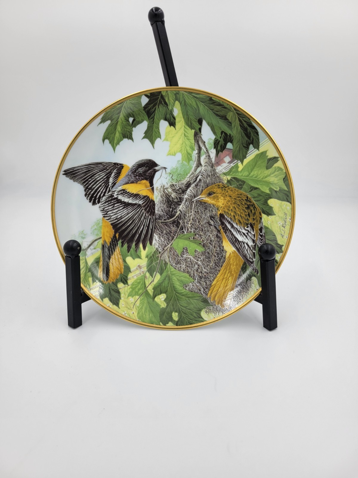 NORTHERN ORIOLE BUILDING THE NEST A. J. Rudisill Plate National Audubon Society