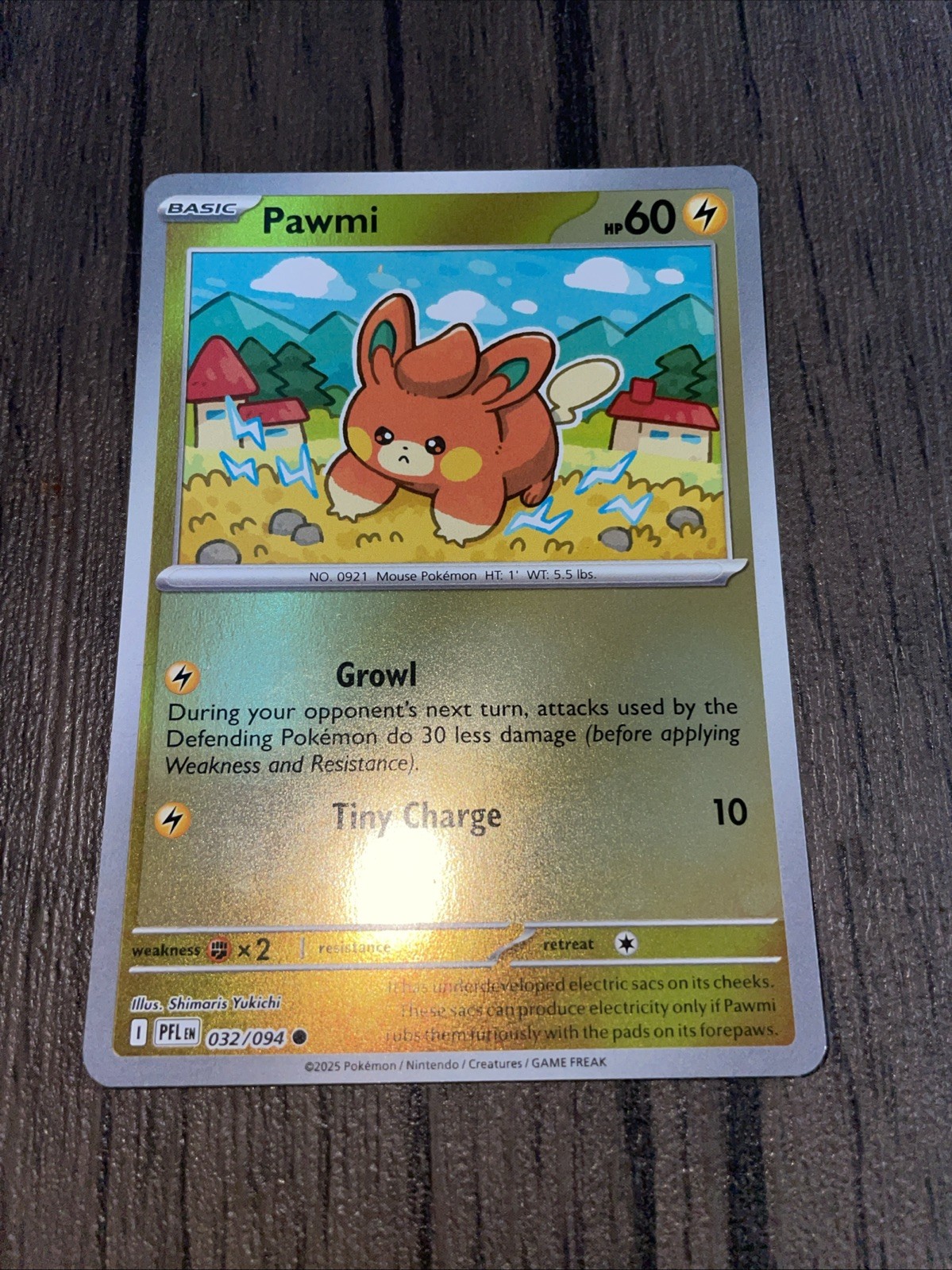 Pawmi Hologram 032/094
