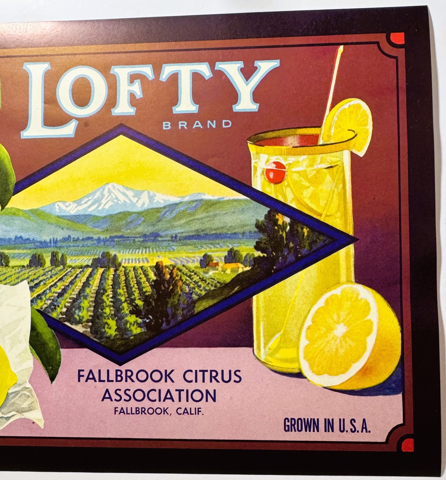 1930s Lofty Lemons Crate Label Fallbrook CA H.S. Crocker NOS Vintage Citrus Art