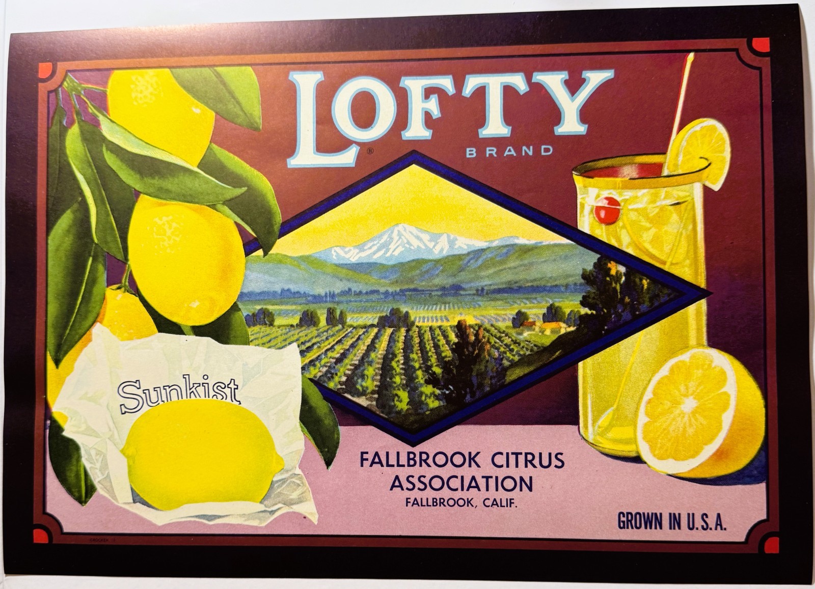 1930s Lofty Lemons Crate Label Fallbrook CA H.S. Crocker NOS Vintage Citrus Art