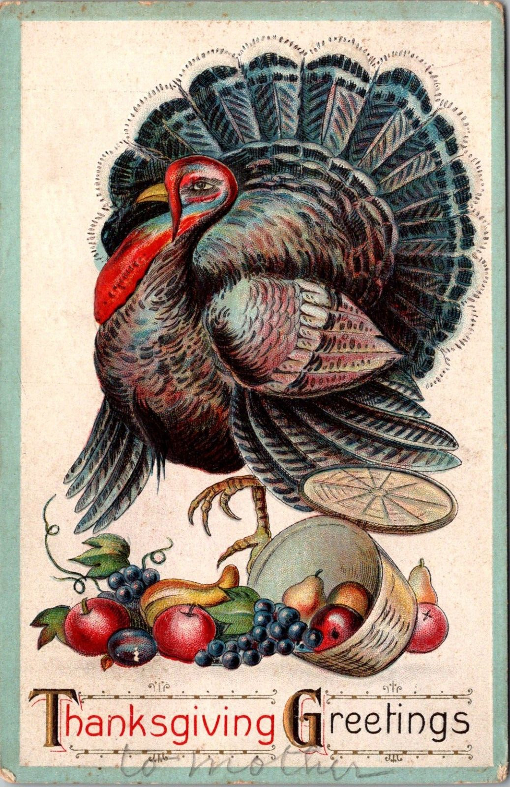 Thanksgiving Greetings Postcard Turkey Embossed Divided Back