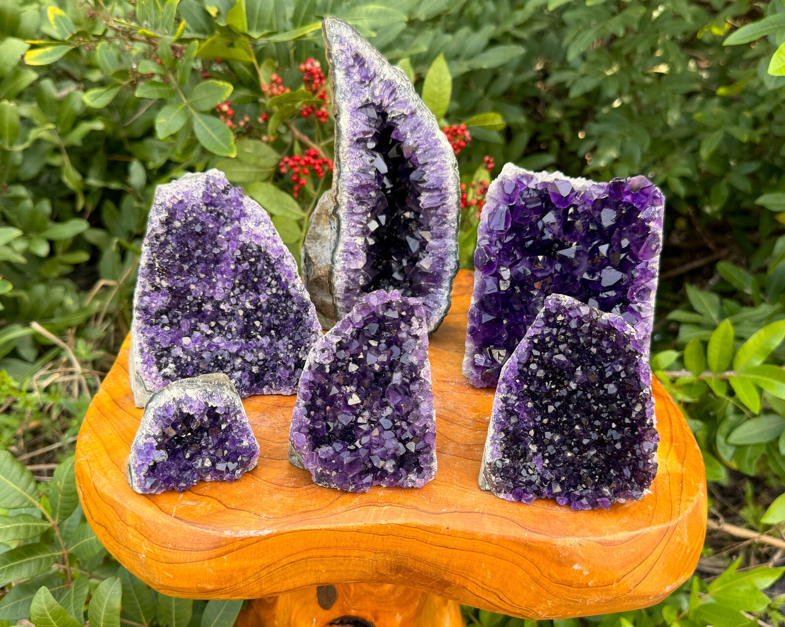 Stunning LARGE Amethyst Cut Base Cluster, Crystal Quartz Geode 8 – 11 oz