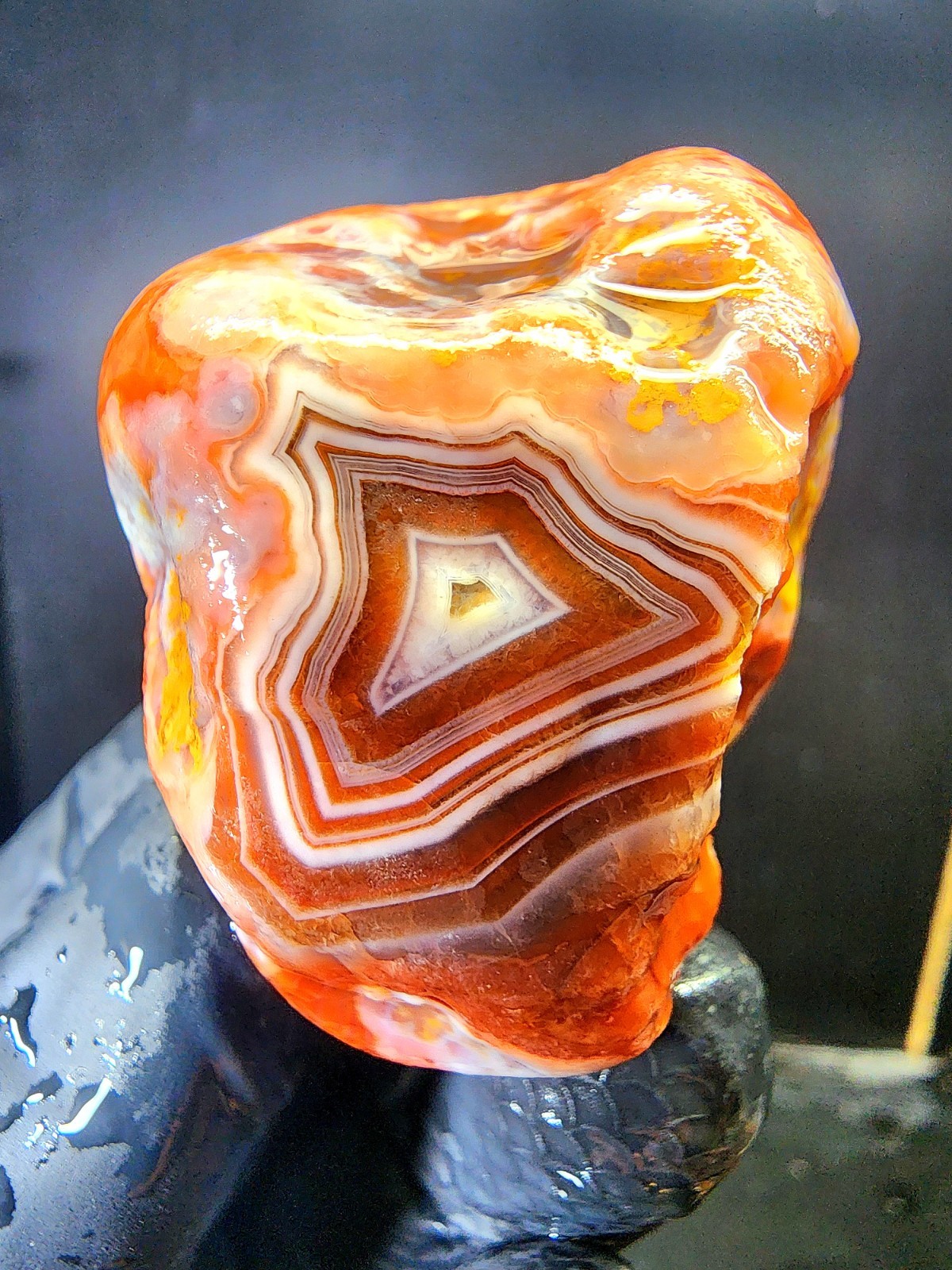 Lake Superior Orbicular Fortification Agate 2.2oz – Human Heart