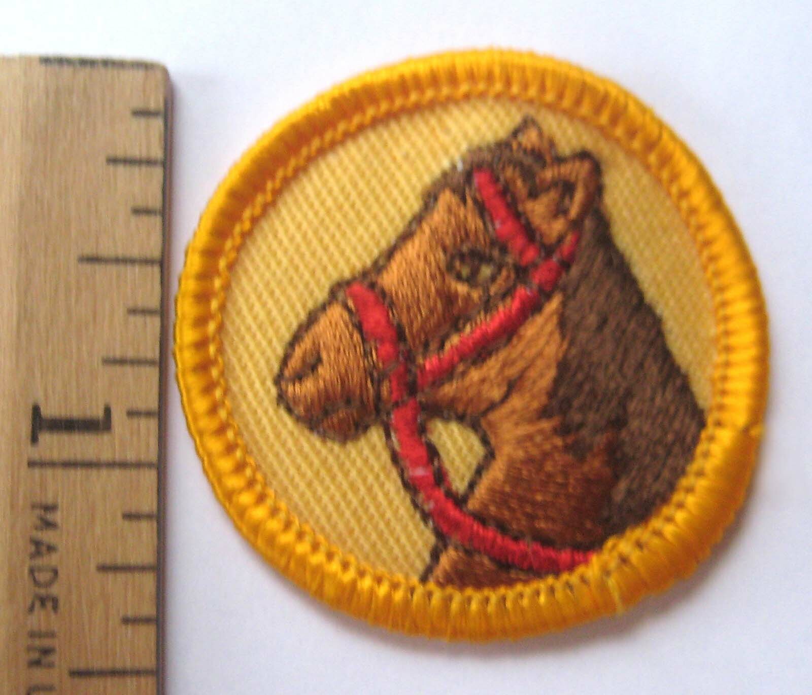 Vintage Girl Scout 1980-2001 Junior HORSE RIDER BADGE Head Patch Equestrian NEW