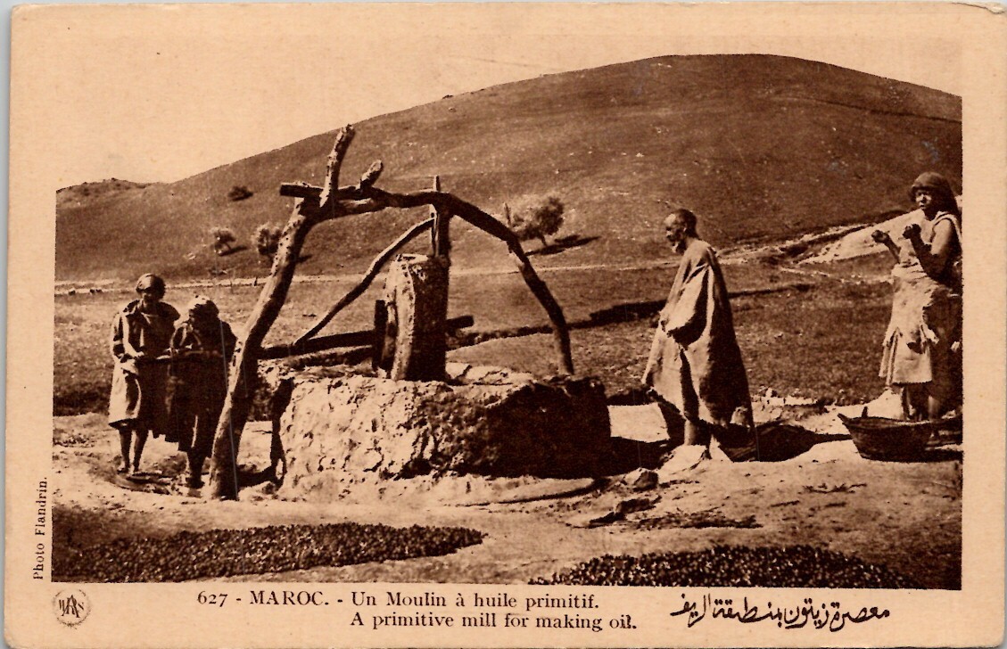 Morocco Primitive Mill for Making Oil Vintage Postcard Spc12