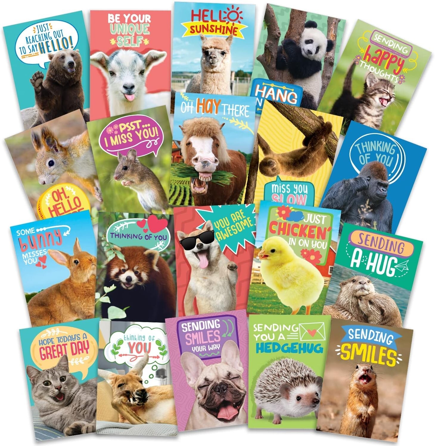 120 Assorted Bulk Postcards with Cute Animals and Funny Puns for All Occasions