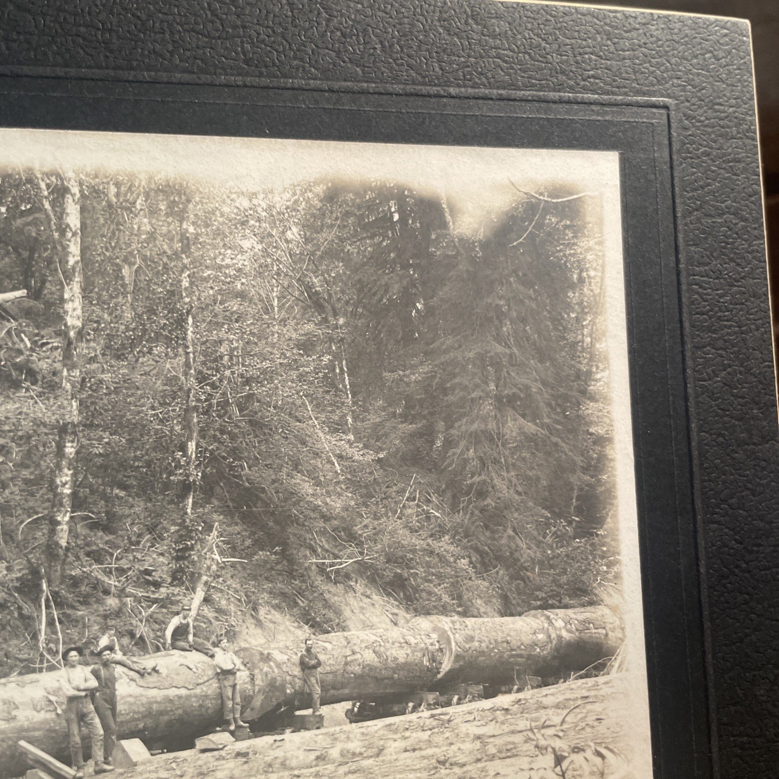 Antique PNW Logging Train Logging Camp, Billy Winters Engineer Photo On Board
