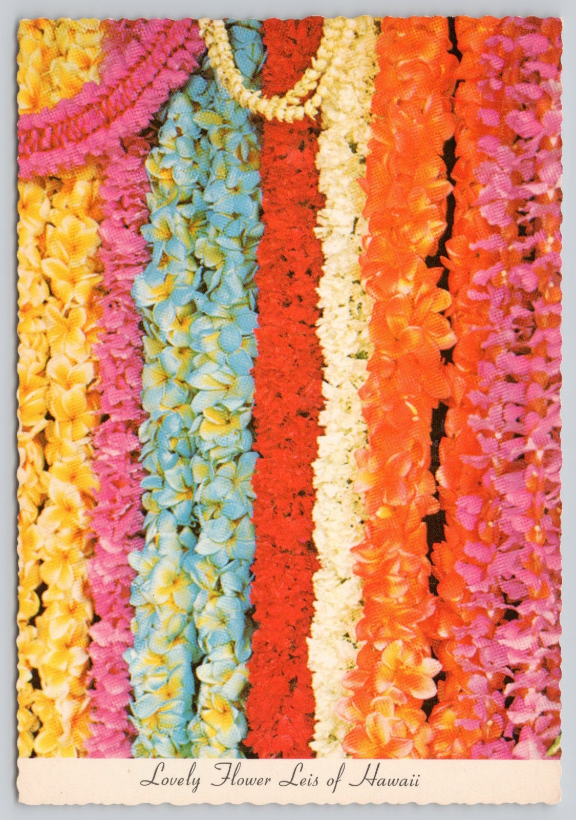 Postcard Hawaii Honolulu Colorful Flower Leis Traditional Floral Garlands 55R