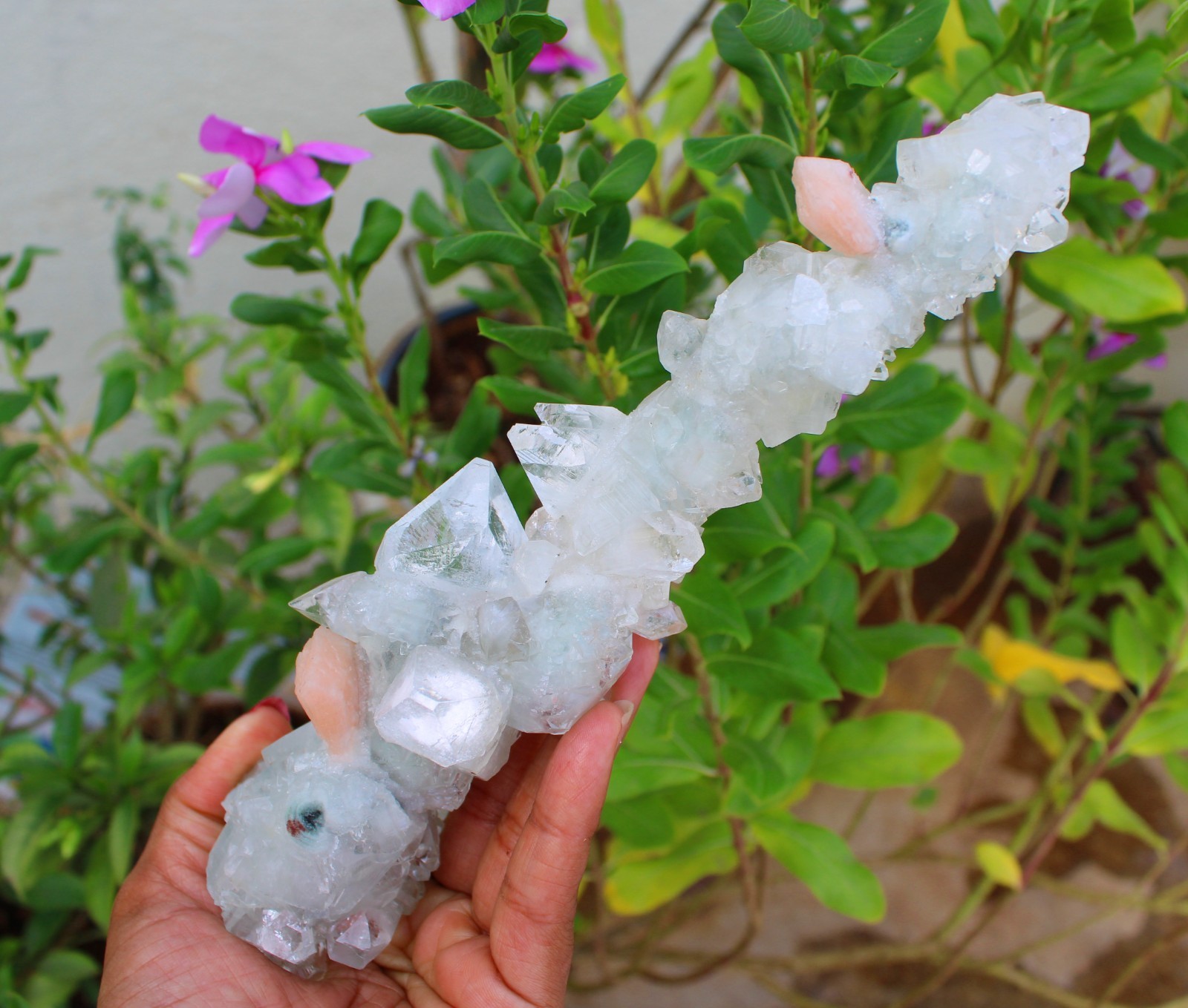 Apophyllite Crystals w/ Stilbite Stalactites Minerals Specimen ( 20X11 ) REPAIR