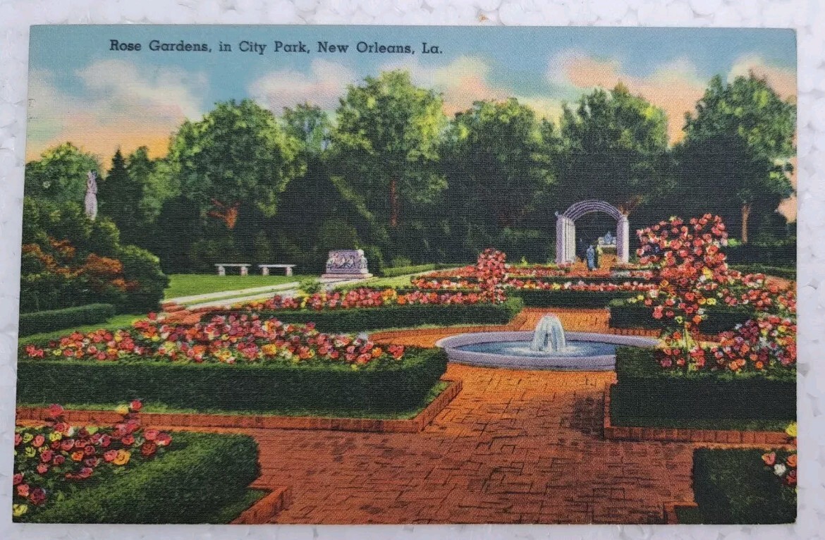 Postcard Louisiana New Orleans LA City Park Rose Garden 1940s Posted Linen