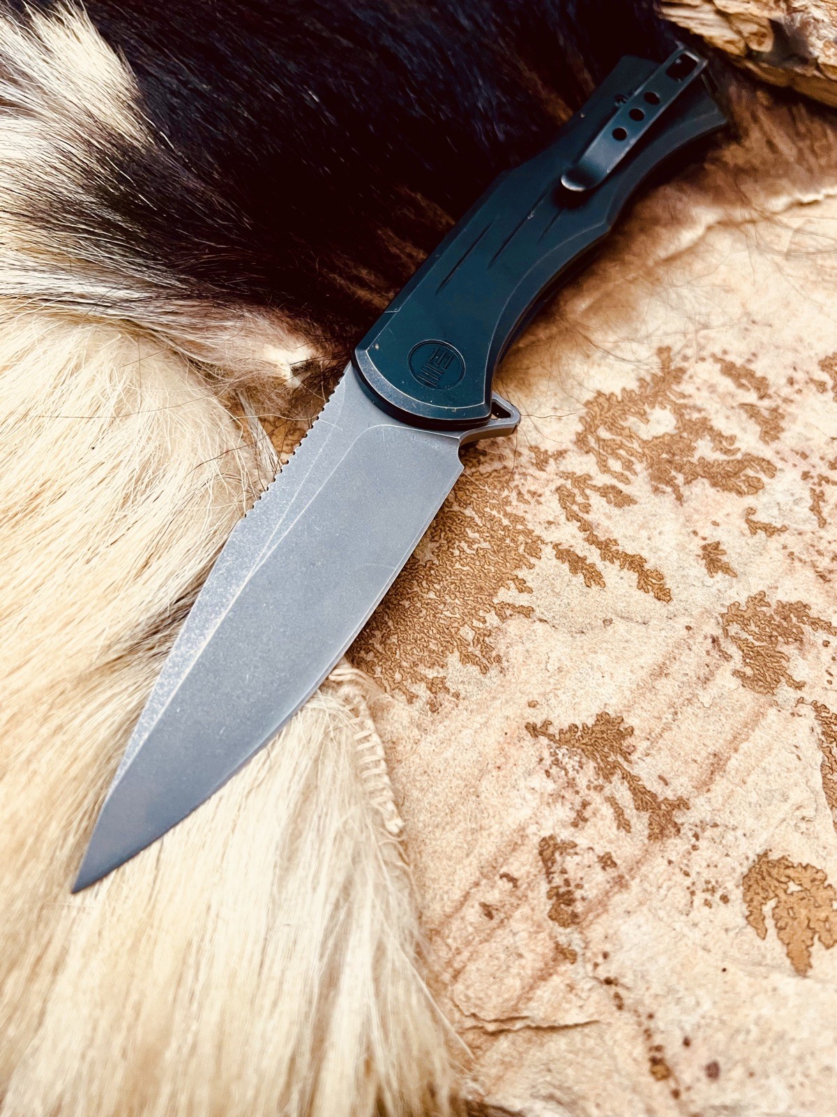 WE Knife Primoris, Black SW CPM-20CV, Black SW Titanium Scales, WE20047A-3