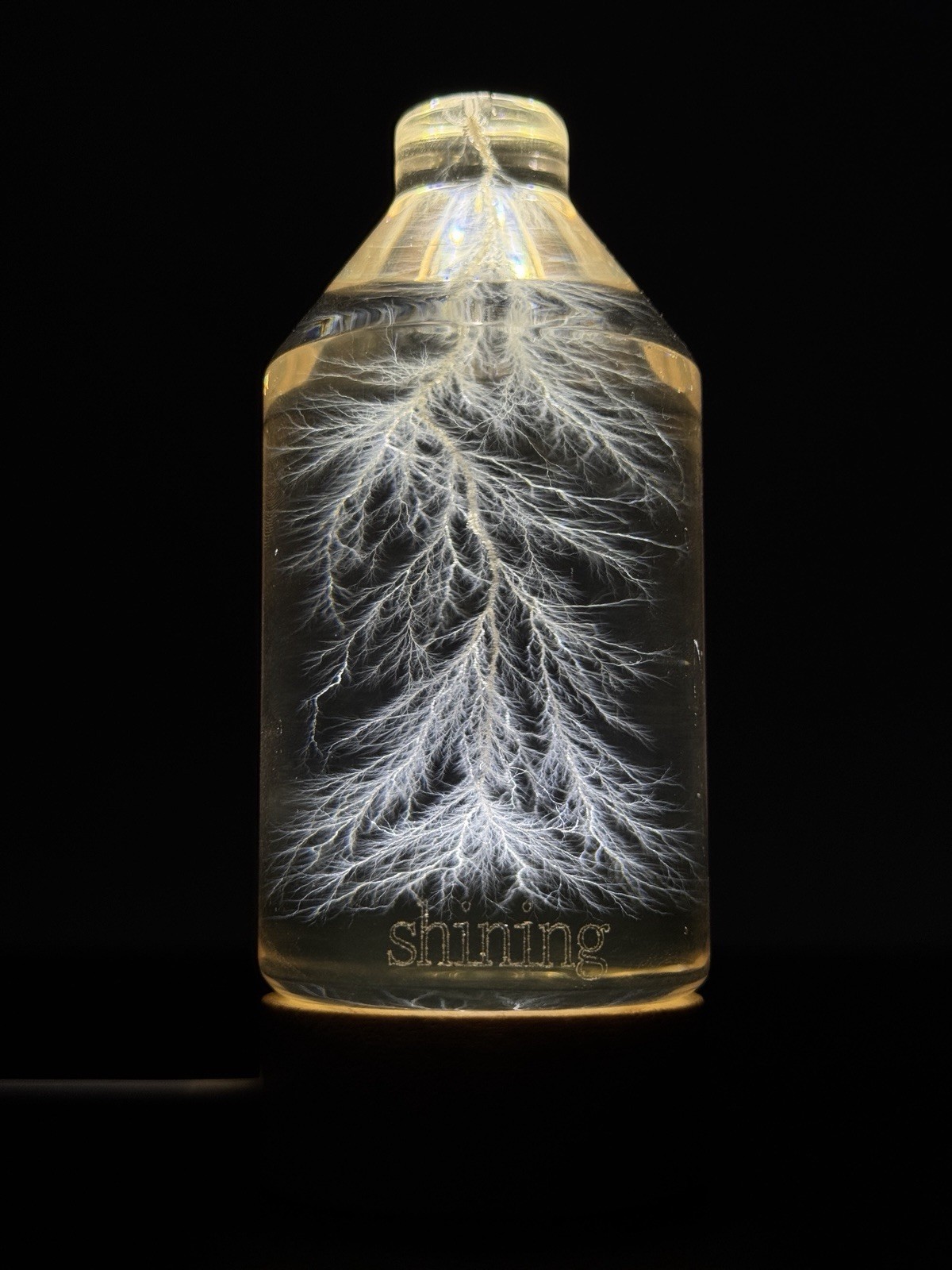 Lichtenberg Figure 2×3 Bottled Lightning with Engraving service- DM for specific