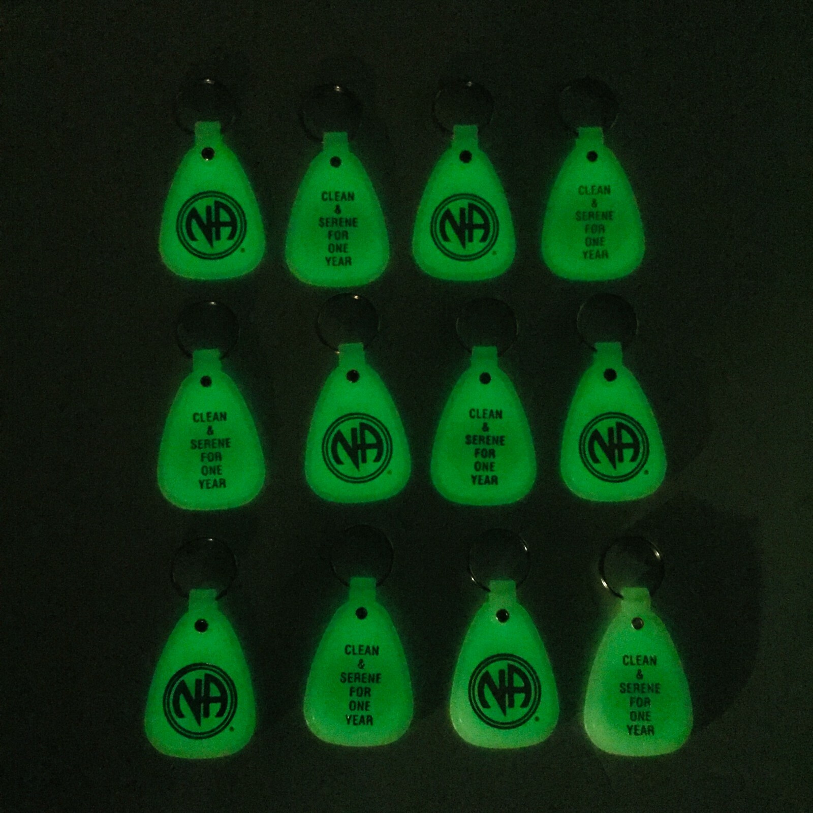 NARCOTICS ANONYMOUS NA KEY TAG MOONGLOW 1 Year Recovery 12 Piece English