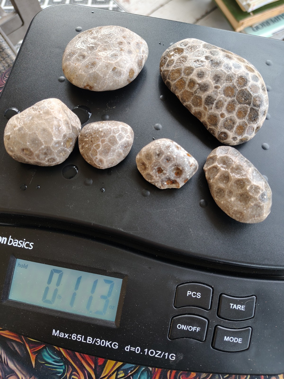 11oz Natural Petosky Stones Michigan Ready To Polish 6 Stones 1-3 Inches