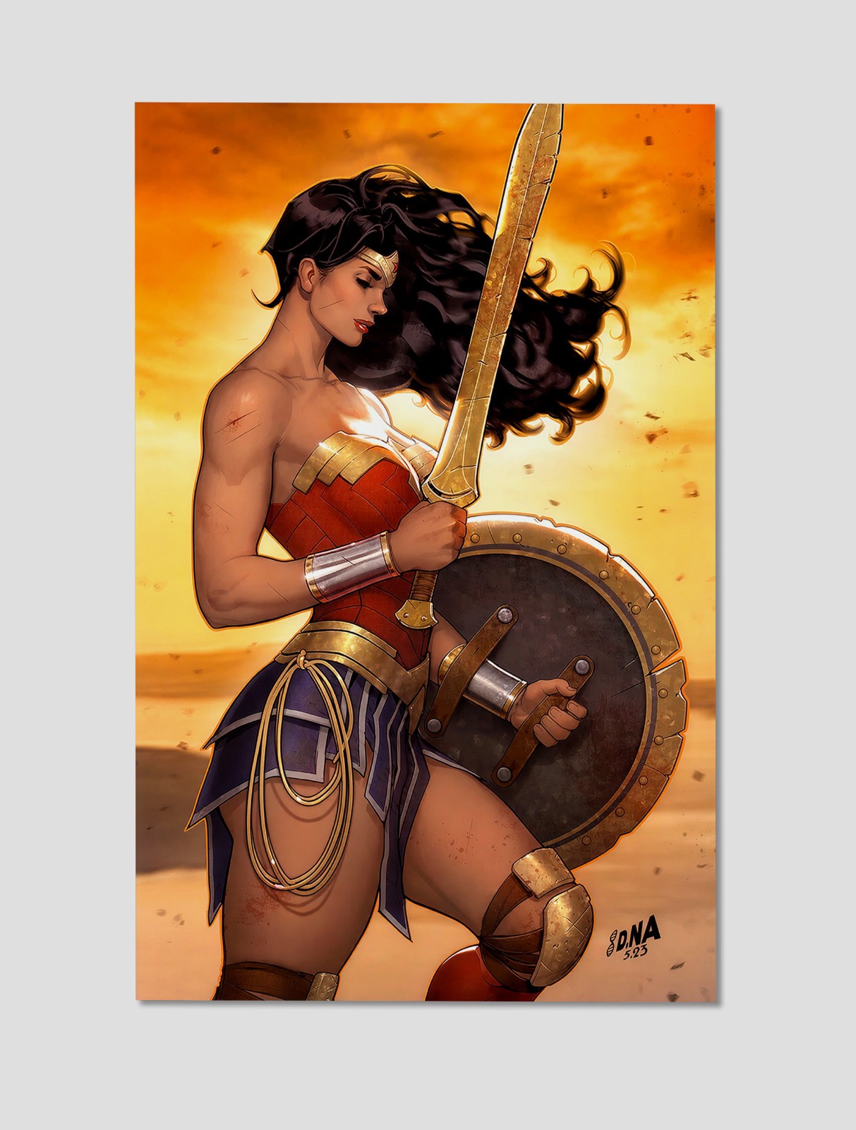 Wonder Woman Warrior Princess Sword & Shield Giclee Print Poster 11×17 Wall Art