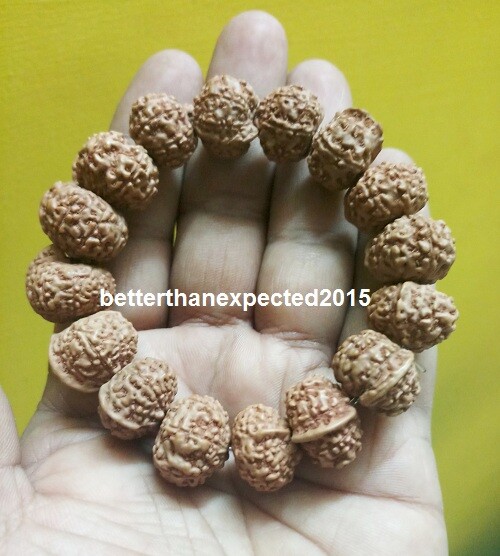 Ganesha Rudraksha Java Beads Ganesh Rudraksh – 12 pieces