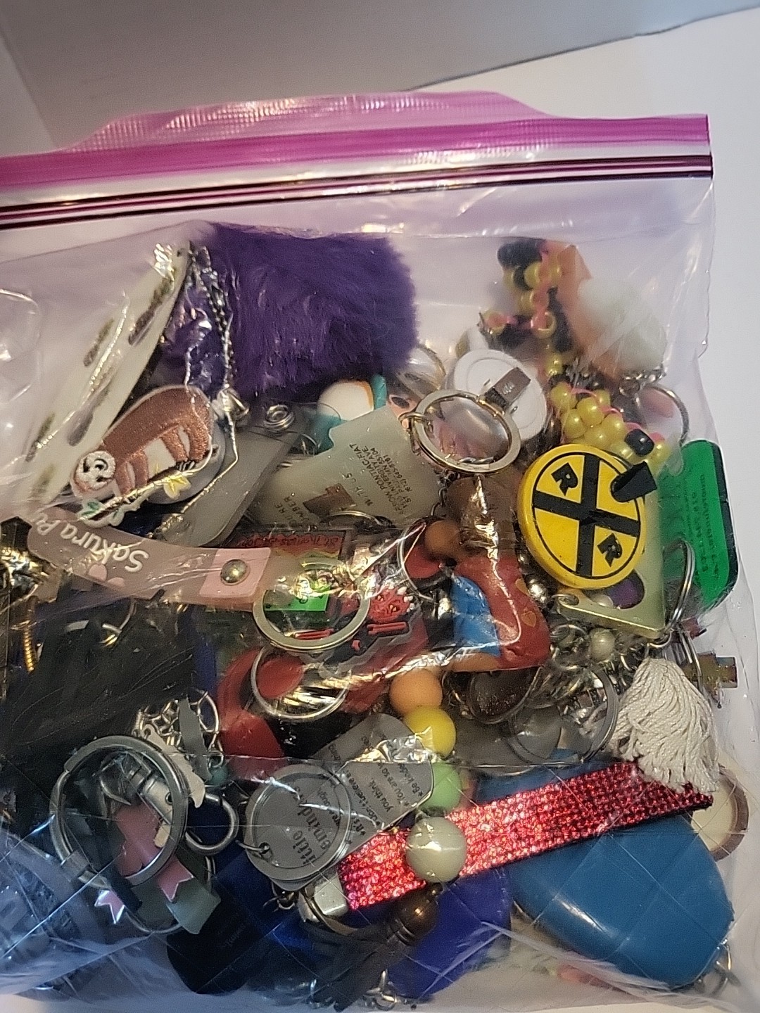 2lbs. 4.6oz Multicolor Assorted Key Chain Grab Bag