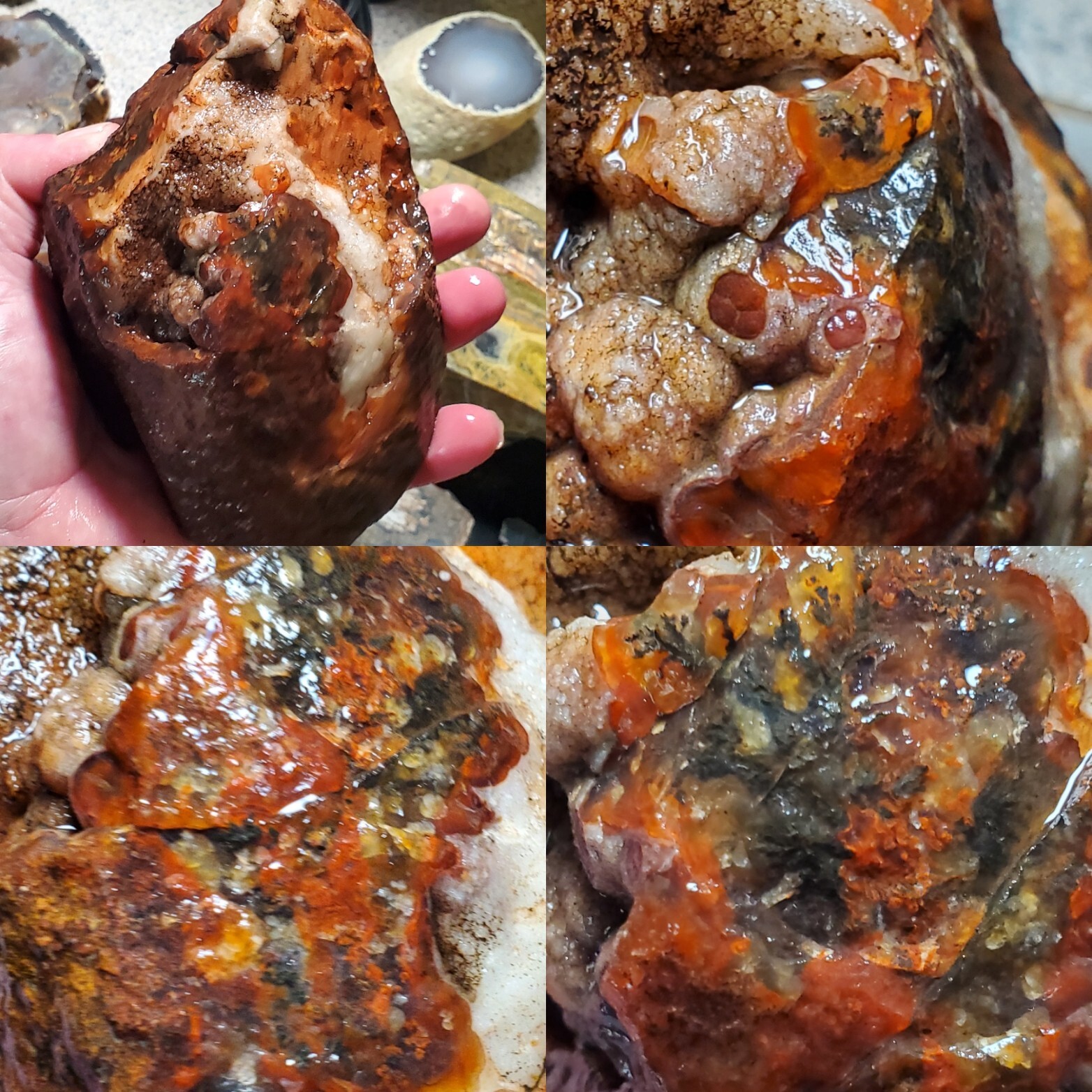 UNCUT 1985 Woodward Ranch Banded Bullseye Botryoidal Agate Biscuit Nodule 1210g
