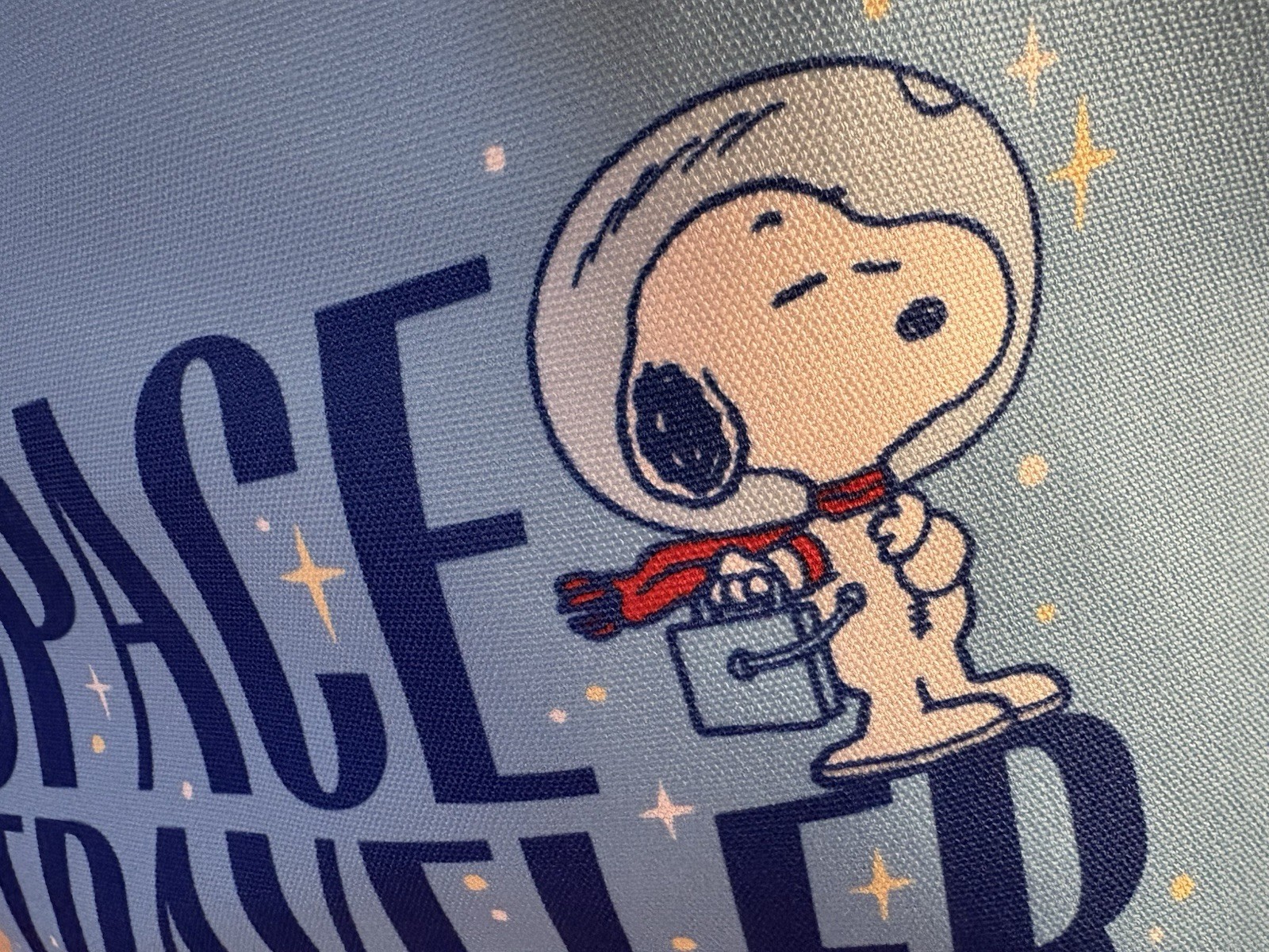 Peanuts Snoopy Combo: Tote Bag & 50 Pcs Stickers