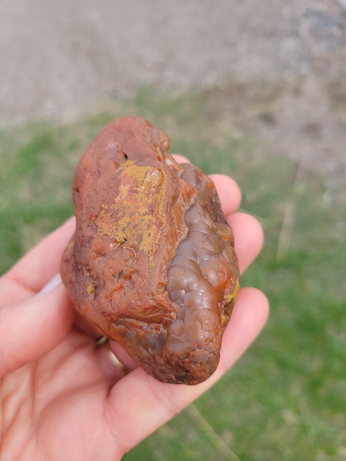 Oddball Botryoidal Lake Superior Agate 6.3 oz