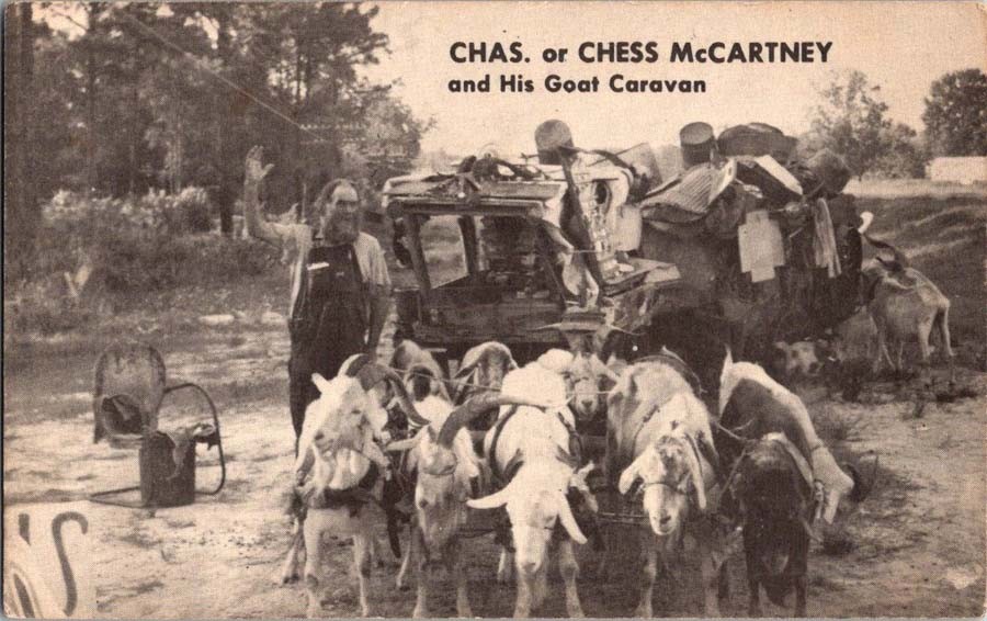Jeffersonville GA postcard CHAS OR CHESS MCCARTNEY & HIS GOAT j/13 AW2183