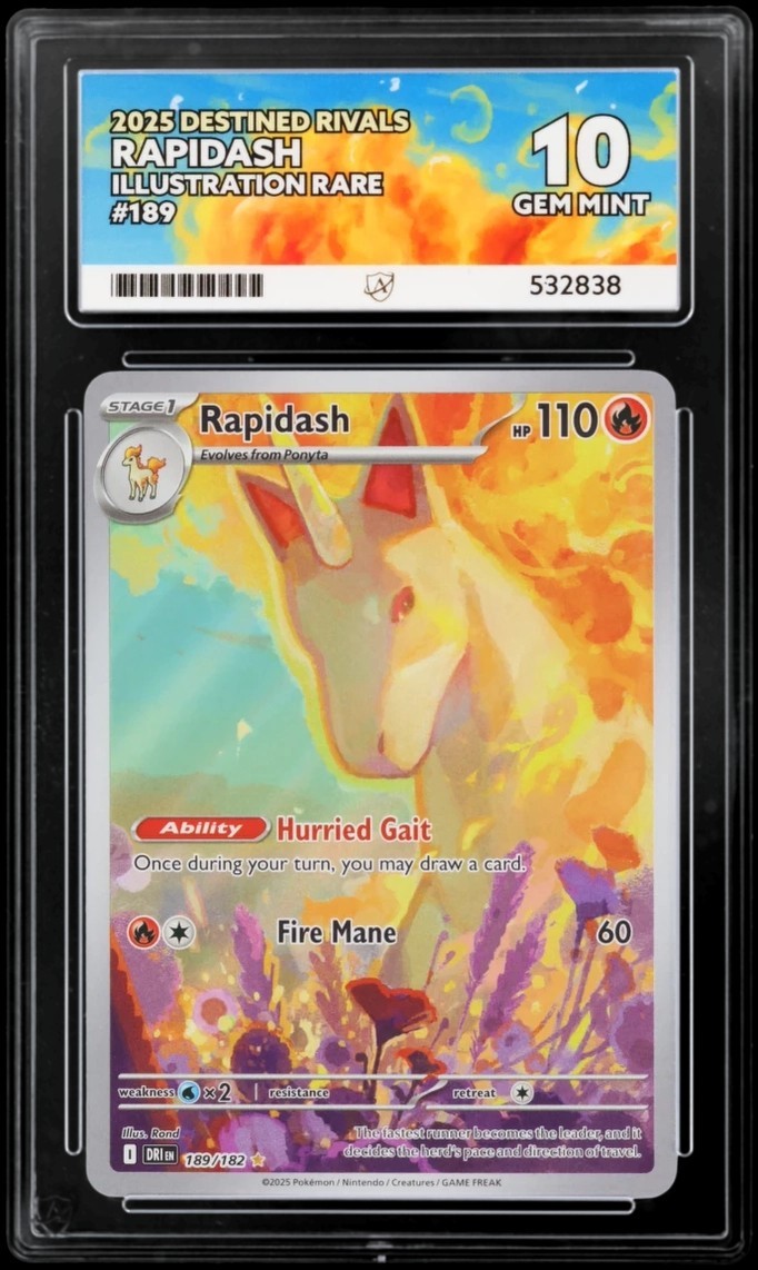 Rapidash 189/182 Illustration Rare Destined Rivals Pokemon TCG Grade Ace 10