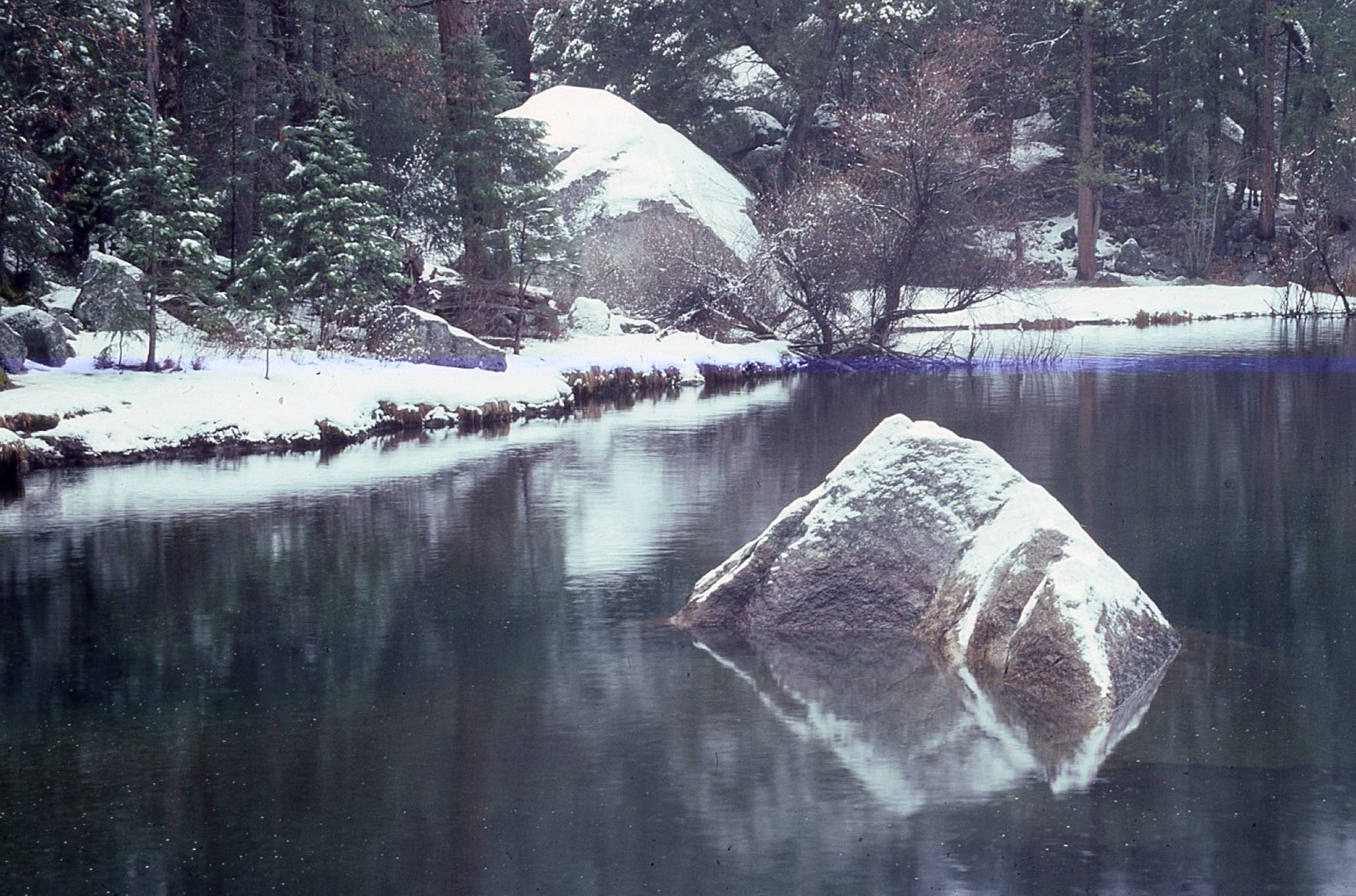 35 MM Color Slides Pro Photo Landscape Winter Forest Lake 1985 #03
