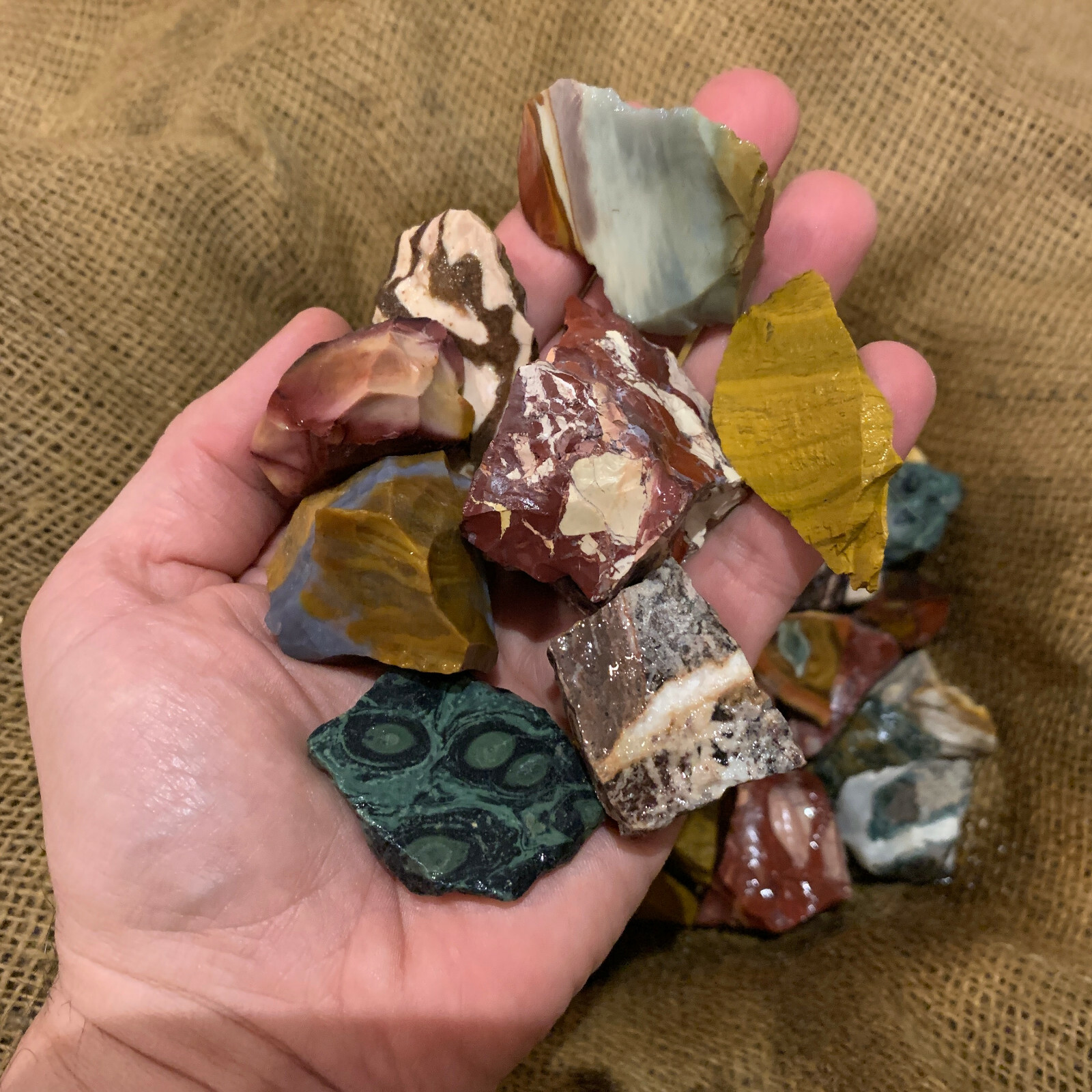 3000 Carat Lots of Mixed Jasper Rough – Plus a FREE Faceted Gemstone