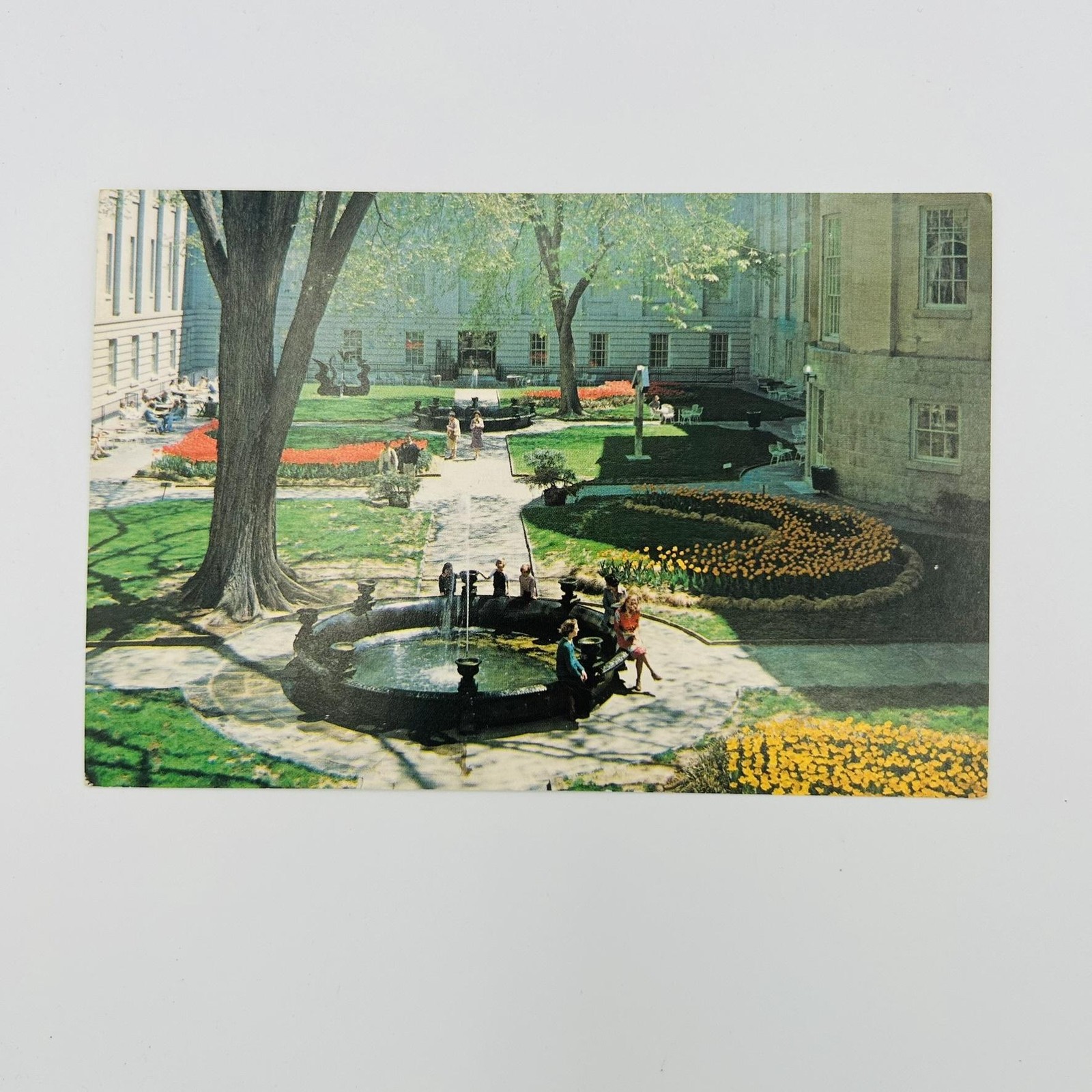 Smithsonian Courtyard Postcard Color Washington D.C. Standard 5.5 X 3.5 In USA