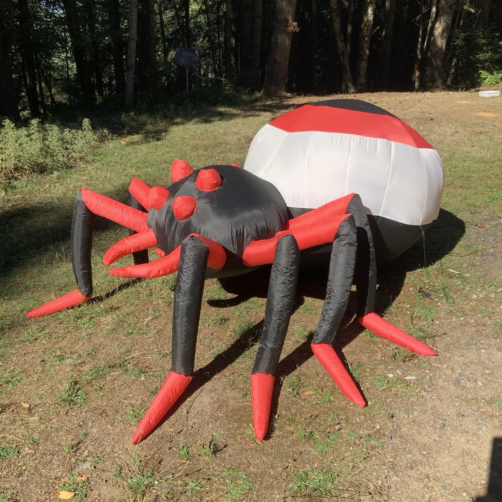 Halloween Yard Inflatable LED Swirl Light Black Widow Spider 8ft