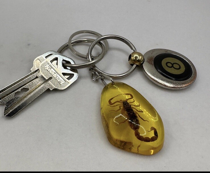 Scorpion Amber Keychain, Scorpion Keychain, Unique Keychain, Arizona Gift