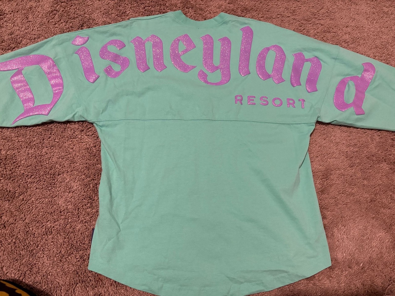 Disneyland Resort Spirit Jersey Mint Green with Purple Glitter Logo Small