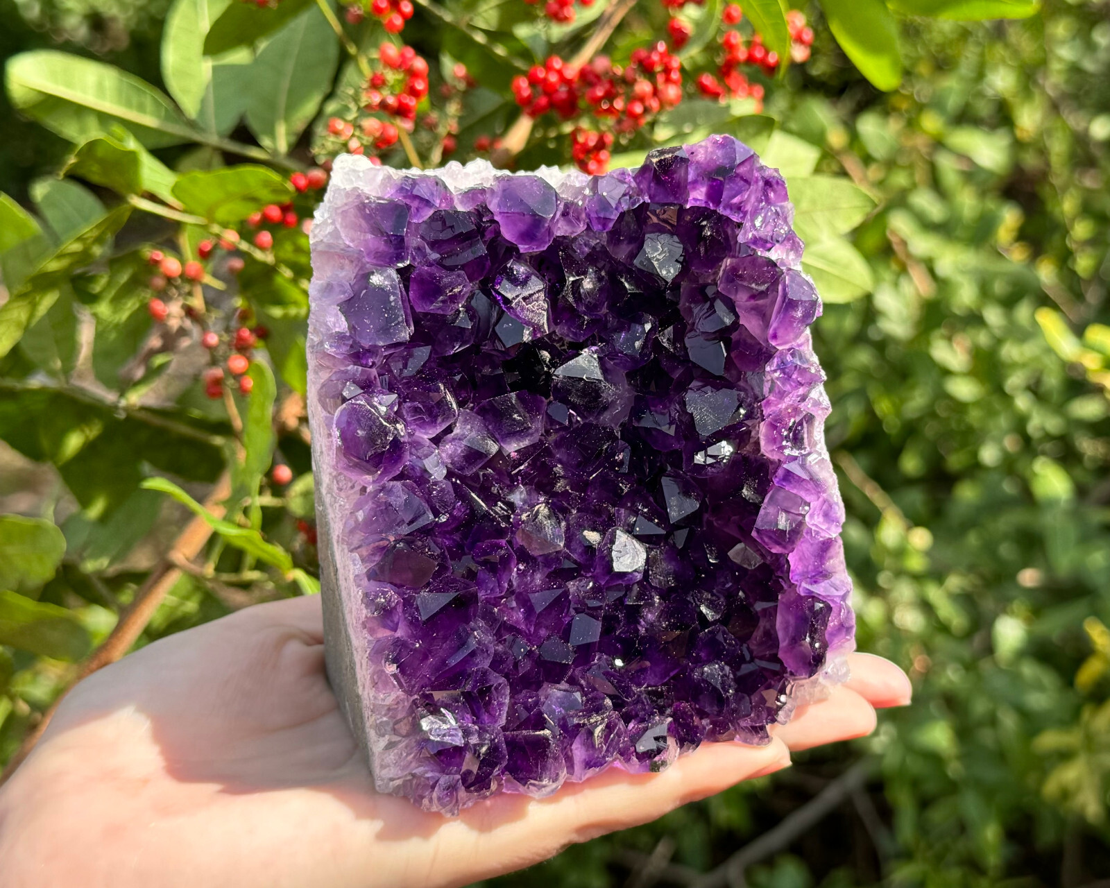 Amethyst Druze Crystal Cluster Cut Base Natural Goede Specimen: You Choose Size!