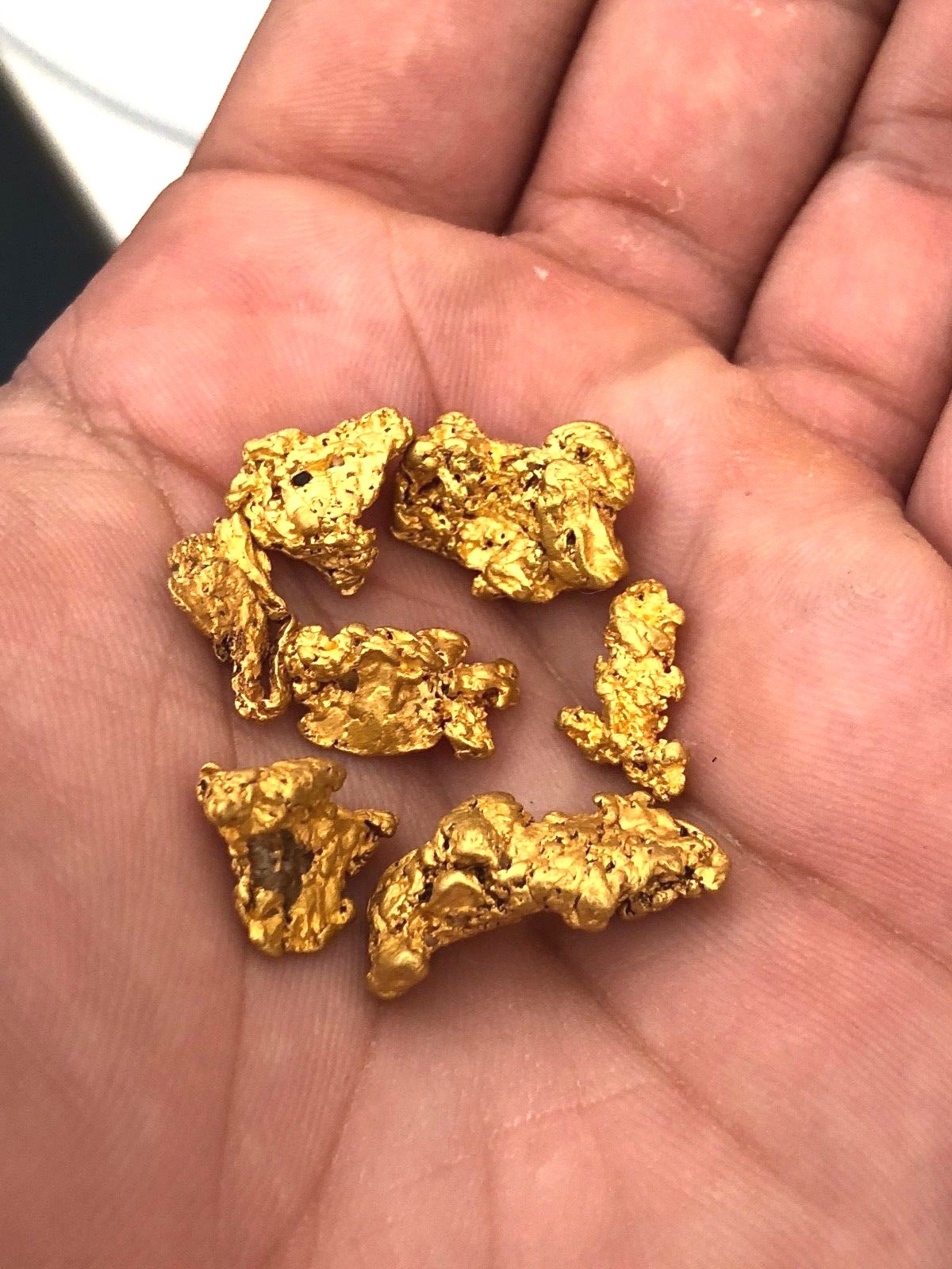 5 pounds bulk sample bag! UNSEARCHED PAYSTREAK gold paydirt! LOADED WITH GOLD