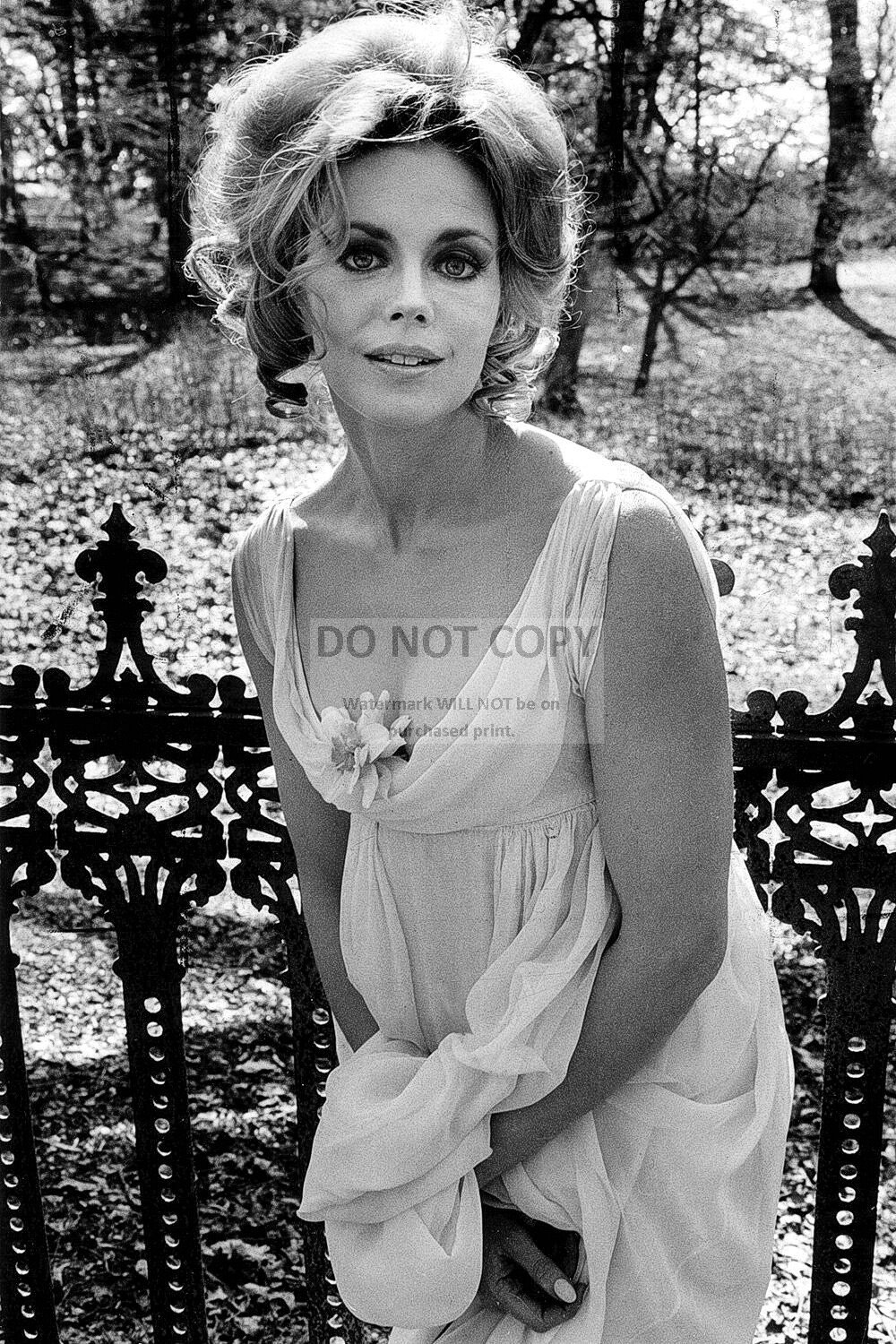 LARA PARKER IN “NIGHT OF DARK SHADOWS” *8X12* PUBLICITY PHOTO (BB-937)