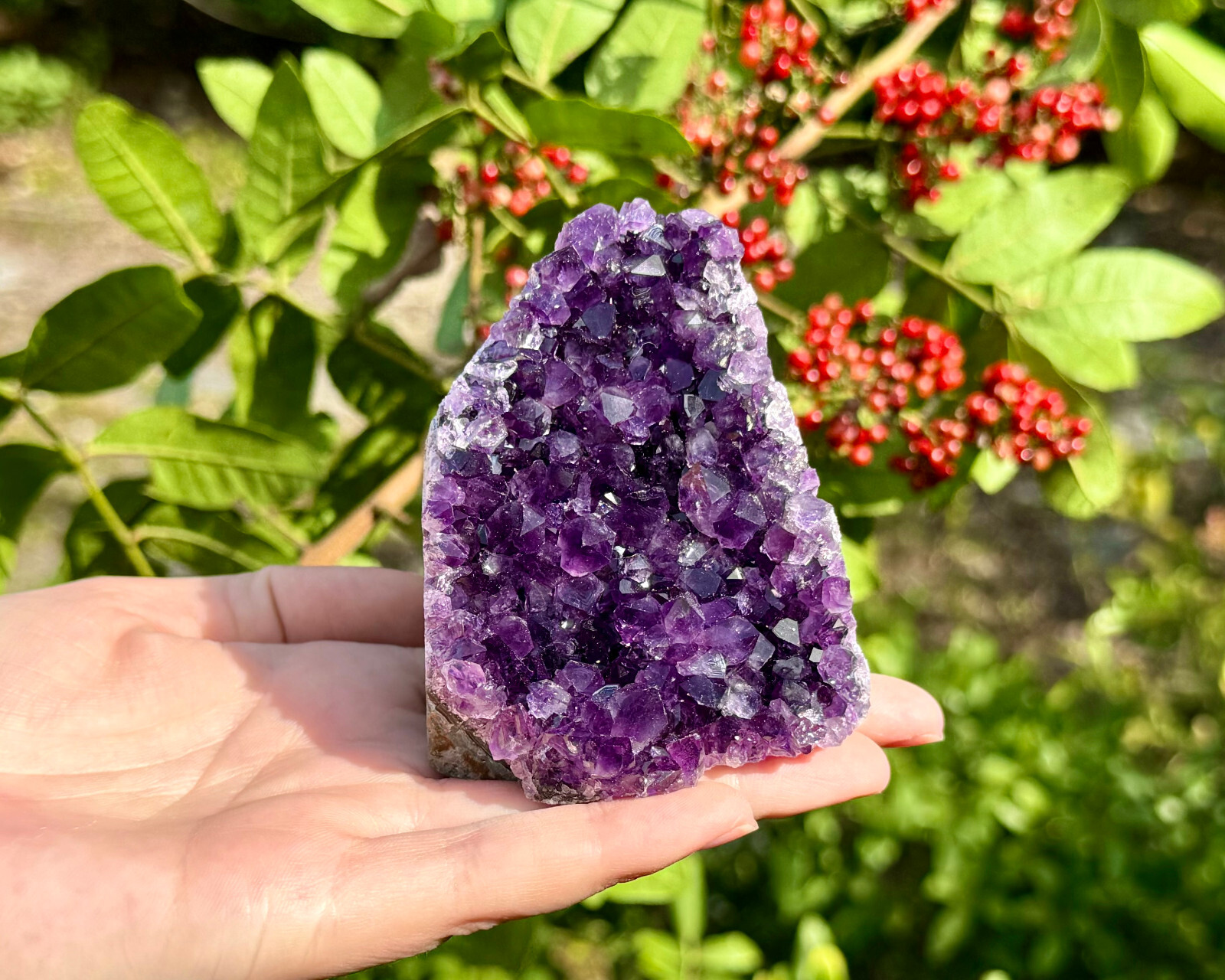 Stunning LARGE Amethyst Cut Base Cluster, Crystal Quartz Geode 8 – 11 oz