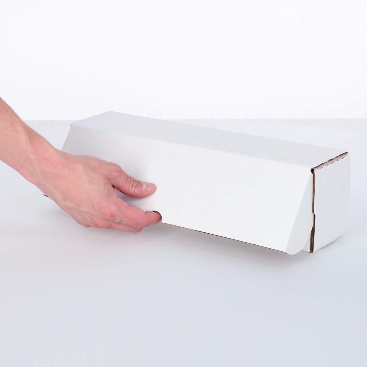 1 BCW 14″ Toploader Storage Box