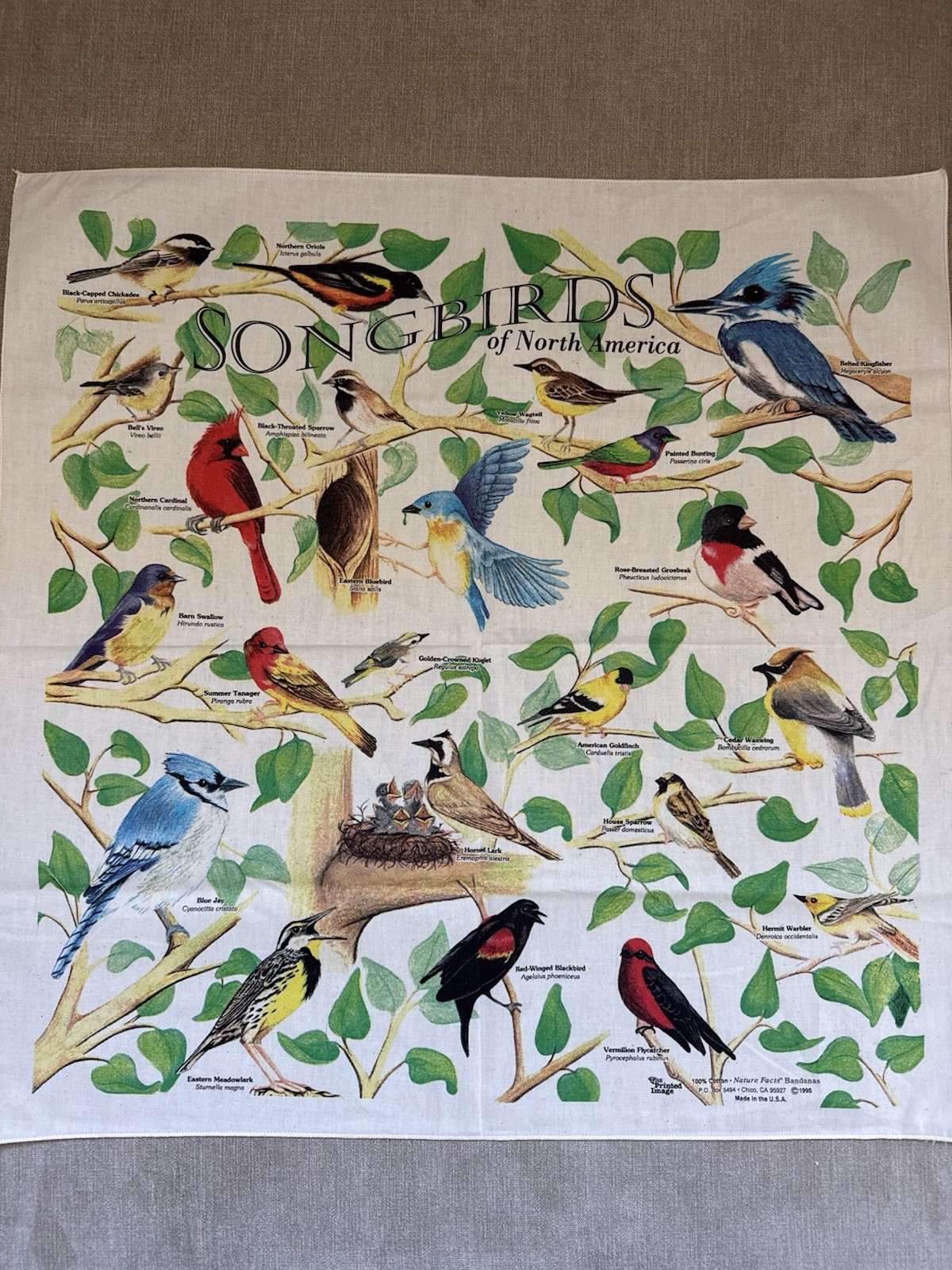 Vintage 1995 Songbirds of North America Bandana Bird Print Chico CA