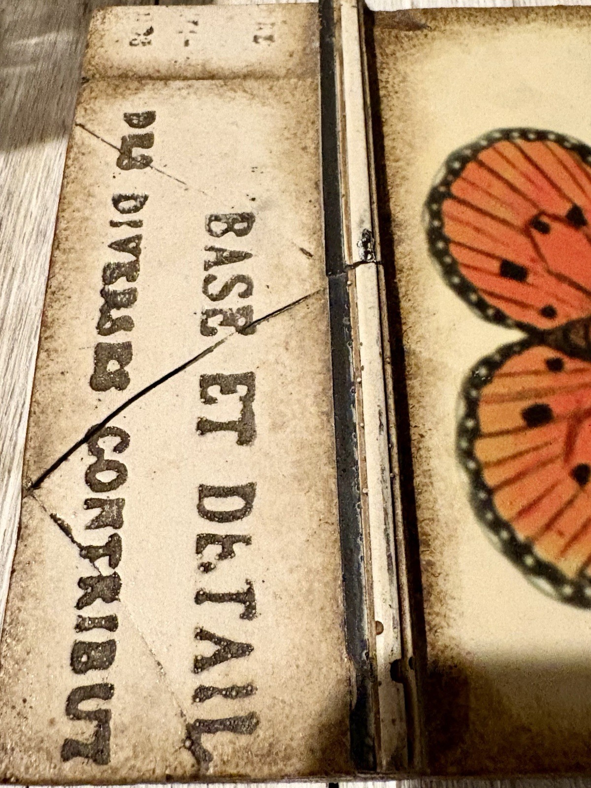 Sid Dickens Memory Block-Model T-139 Butterflies, Season Of Awakening Collection