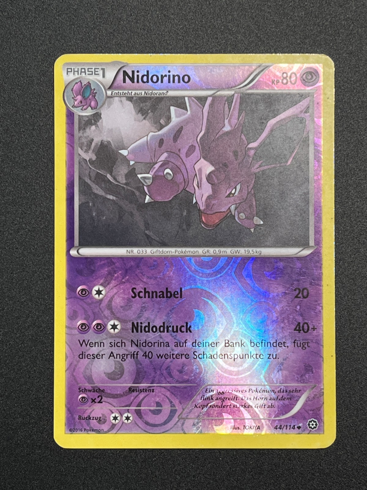 Nidorino STS 44/114 Steam Siege XY Pokemon Reverse HOLO DE