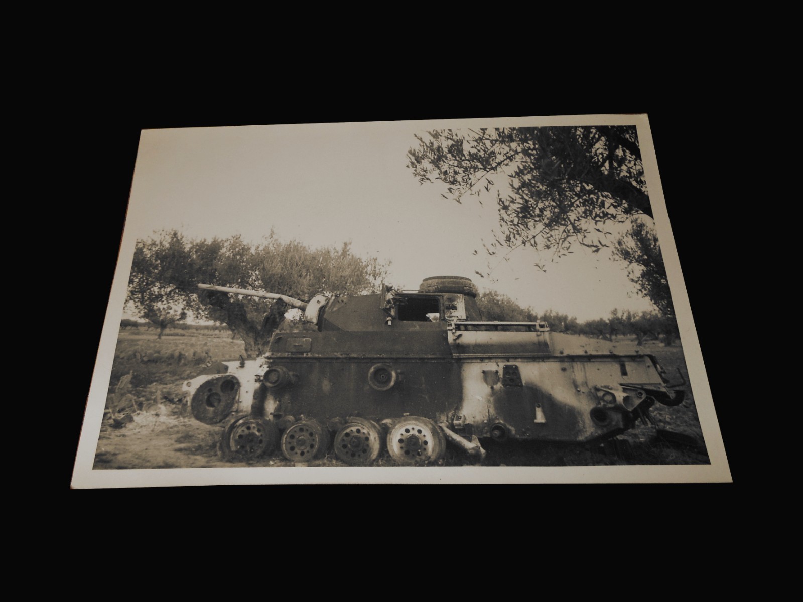 WW2 US Army Signal Corps Photo – ORIGINAL WWII IMAGE REPRINT – PANZER 3 – NICE!