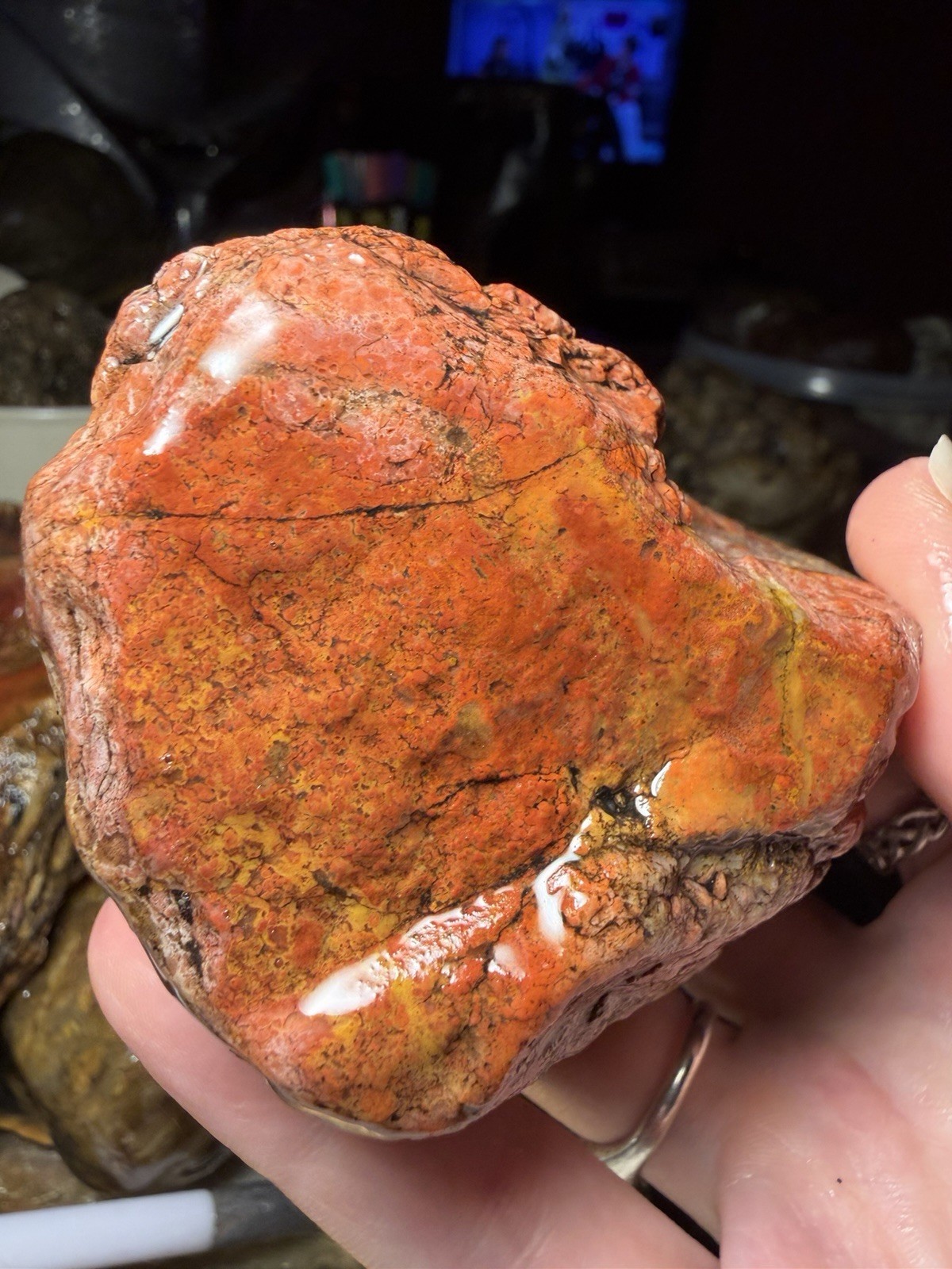 Colorful Agatized Jasper Display Specimen MN Lapidary Rough 13.3oz Red/Pink