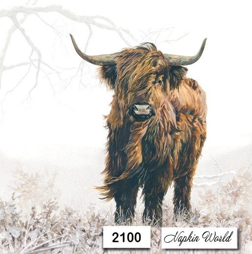 (2100) TWO Paper LUNCHEON Decoupage Art Craft Napkins – COW SCOTTISH BULL