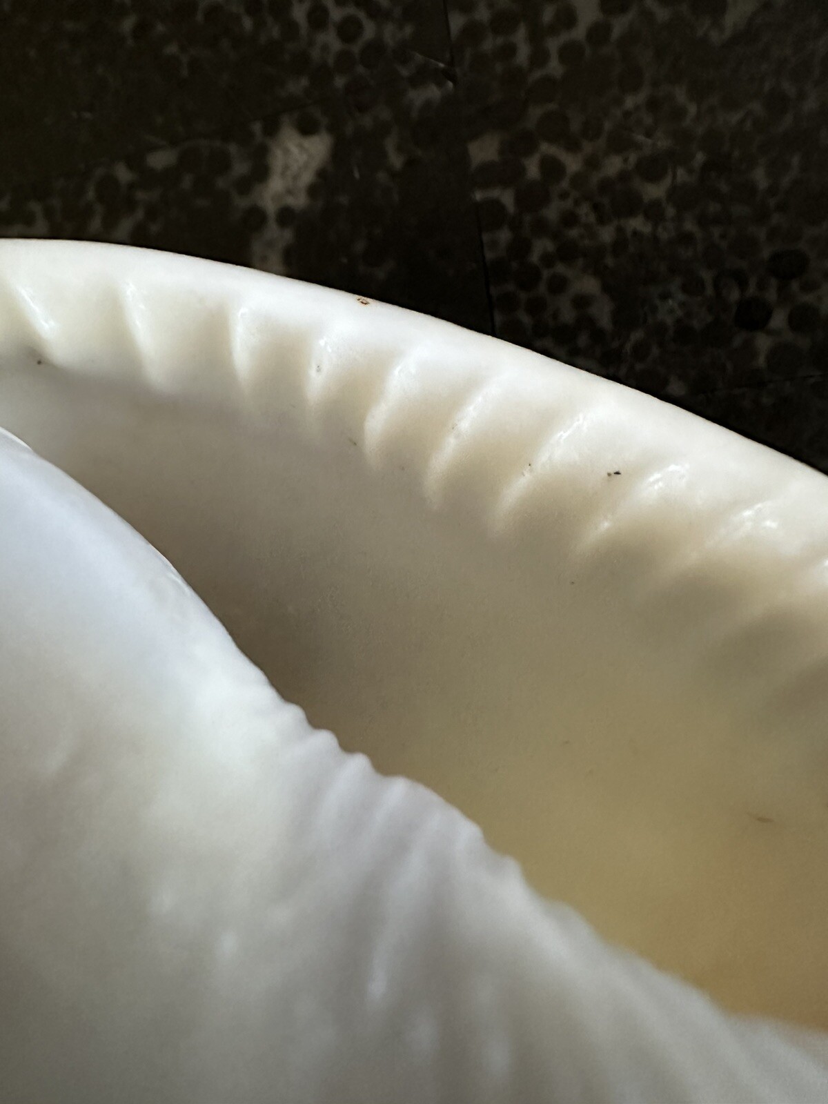 Vintage Shell No Pattern 70mm Natural Beige Sea Ocean Small