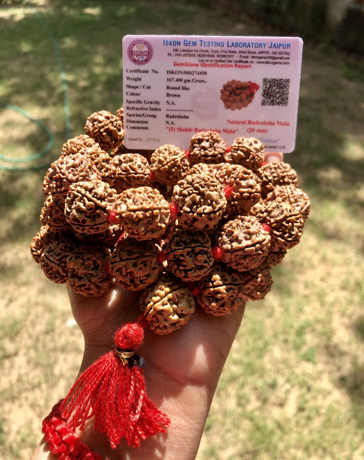 LAB CERTIFIED 5 Mukhi RUDRAKSHA Rudraksh Mala ROSARY 54+1 Big Beads 18-20 mm Red