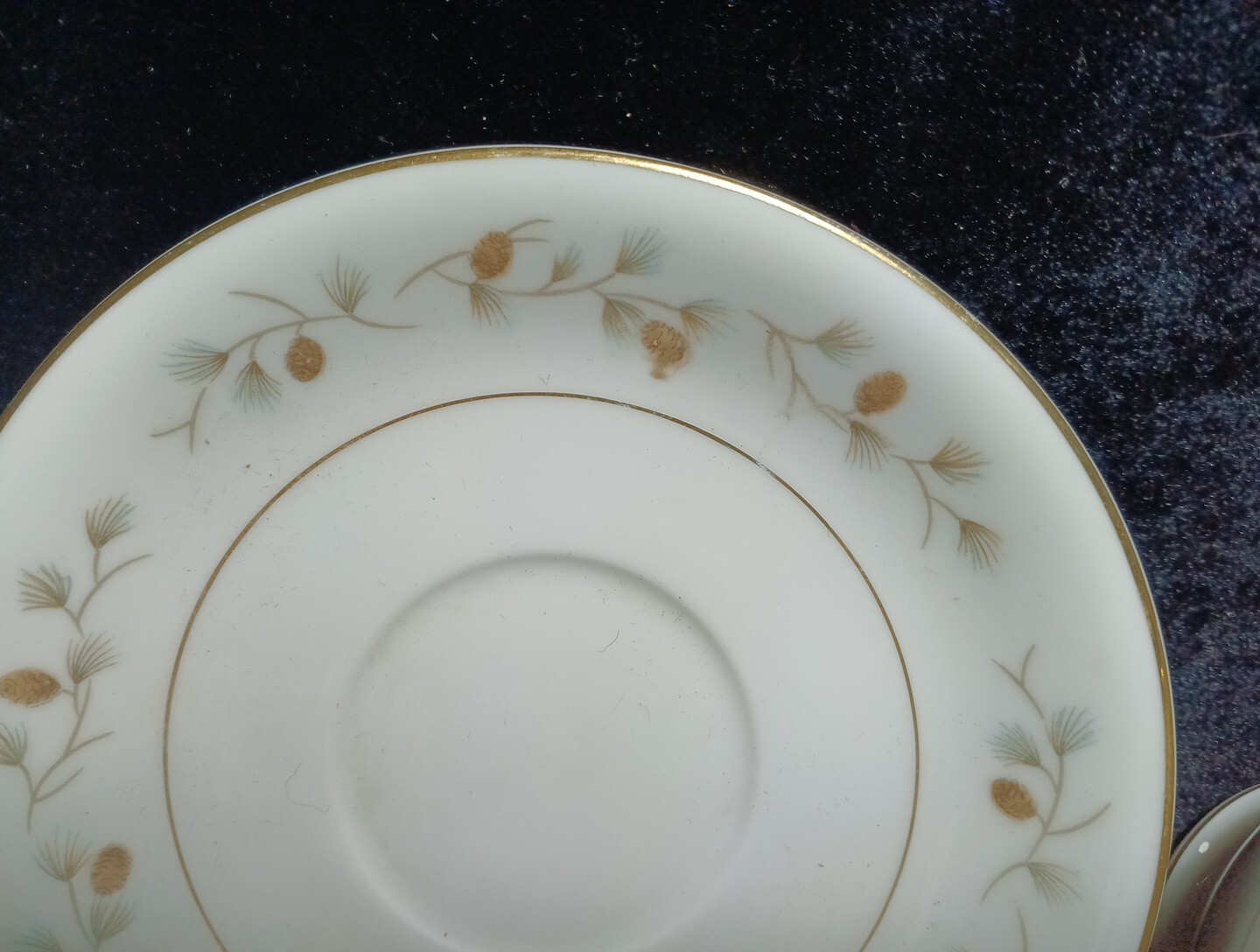 Royal Cameo Whispering Pine Cup & Saucer Set of 6