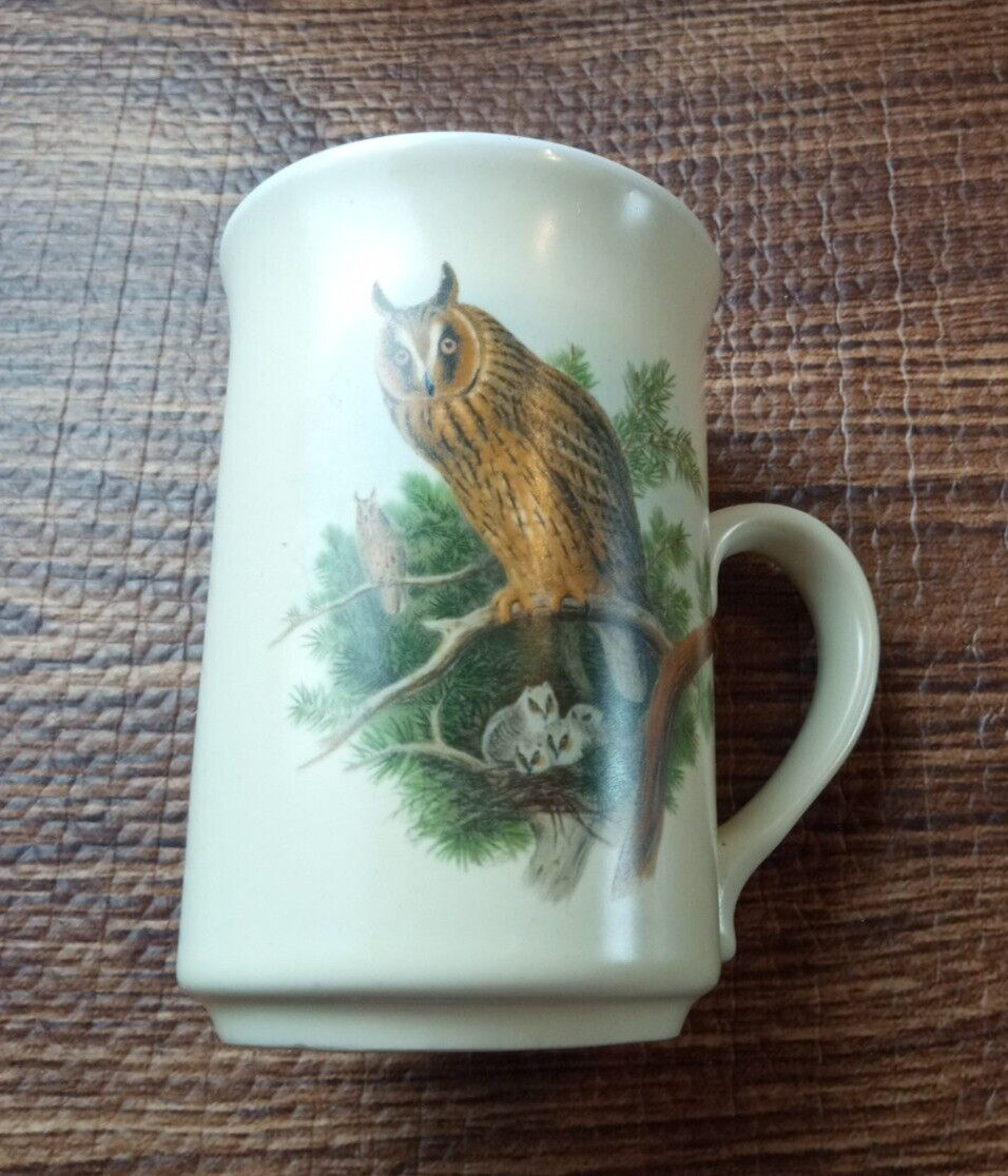 Stechcol Gracie Coffee Cup, Thrush Bird Theme, Gold Trim, 10 Oz